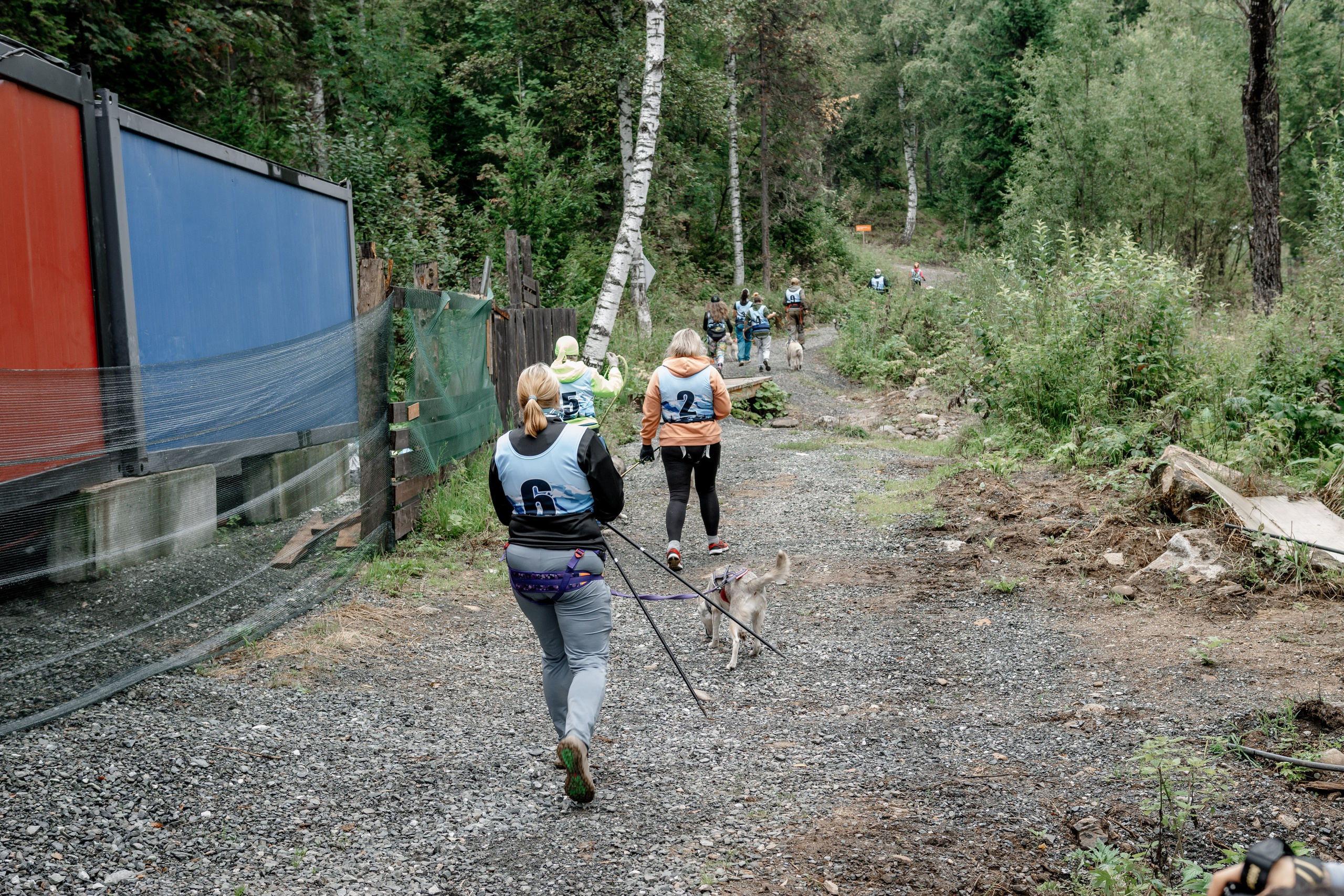 Дог-треккинг