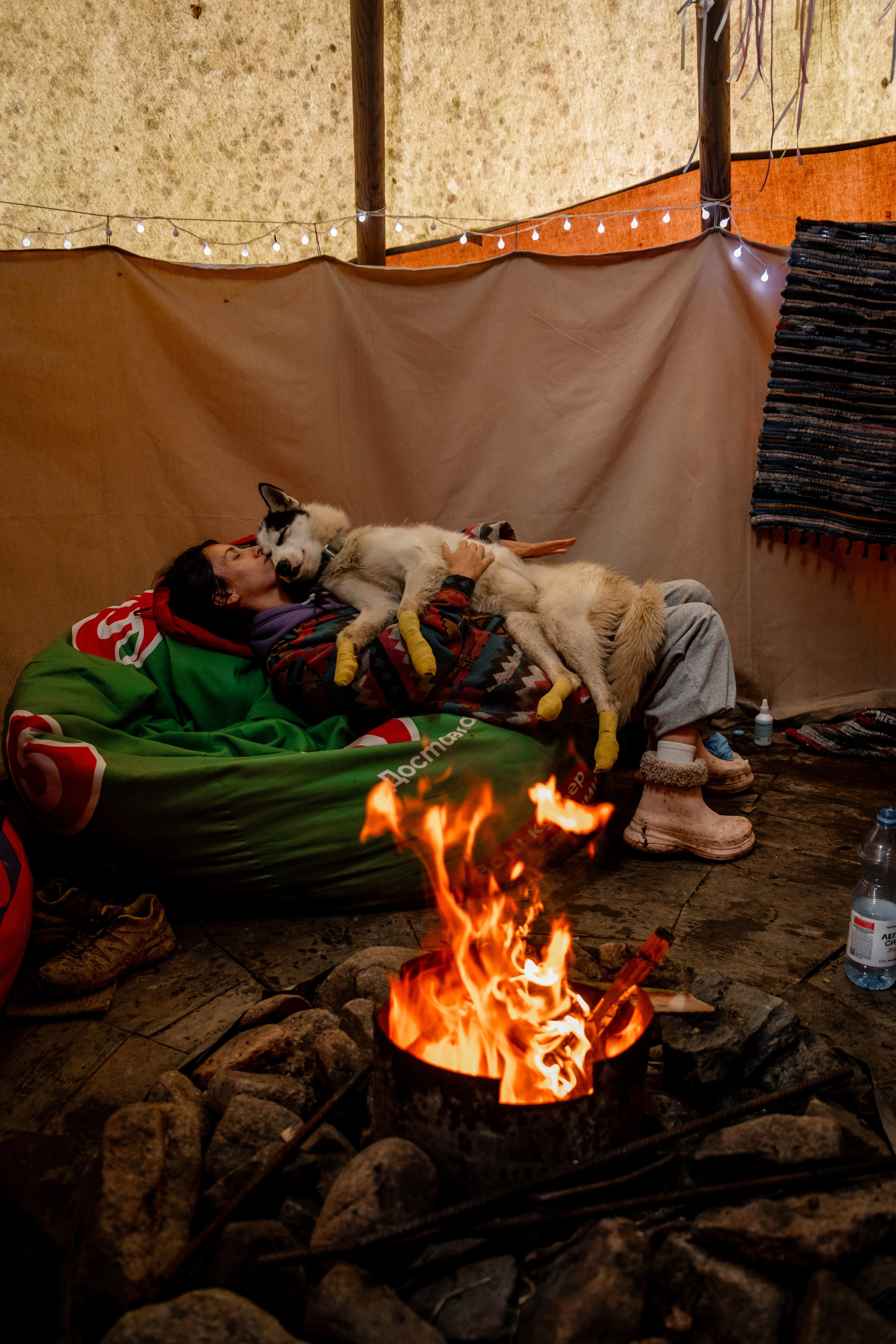 Дог-треккинг