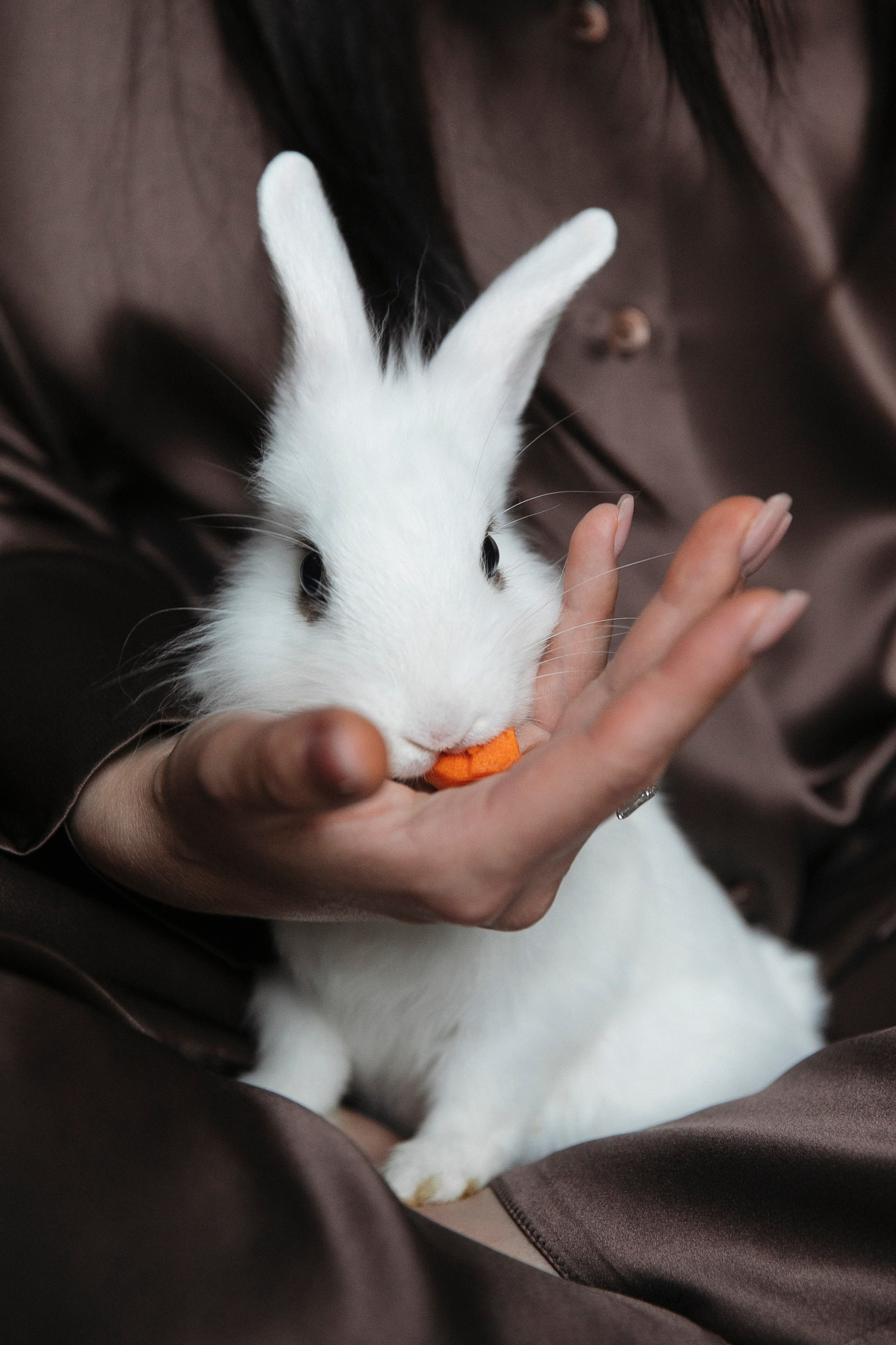 Брат и Сестра. Фотограф в Москве Шаганова Нина