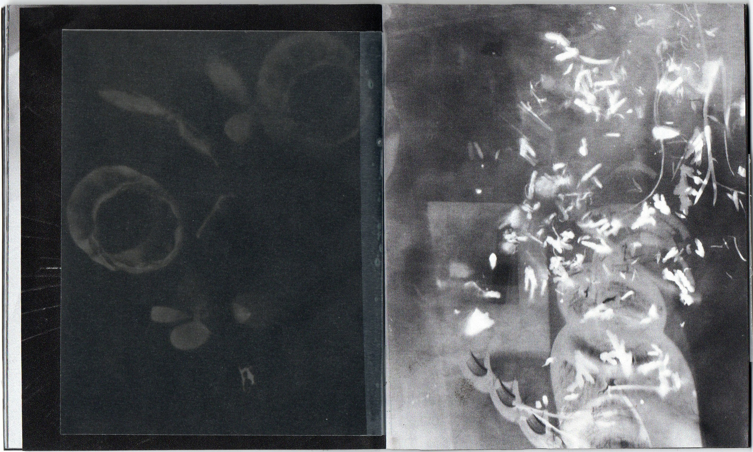 Куда ночь, туда и сон. Фотограф Анна Кирнос