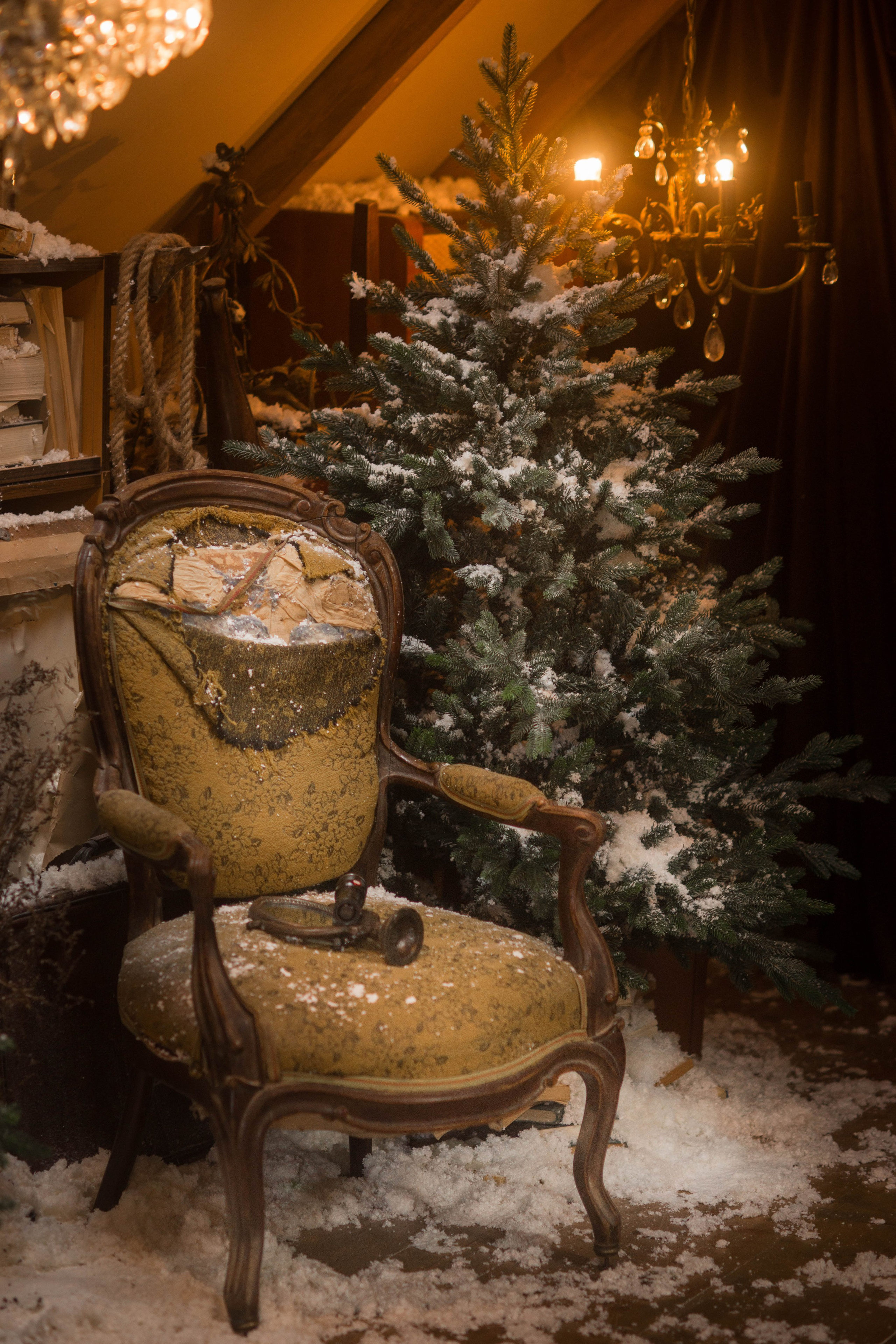 Алиса в стране чудес. Семейный и детский фотограф Троицк Москва