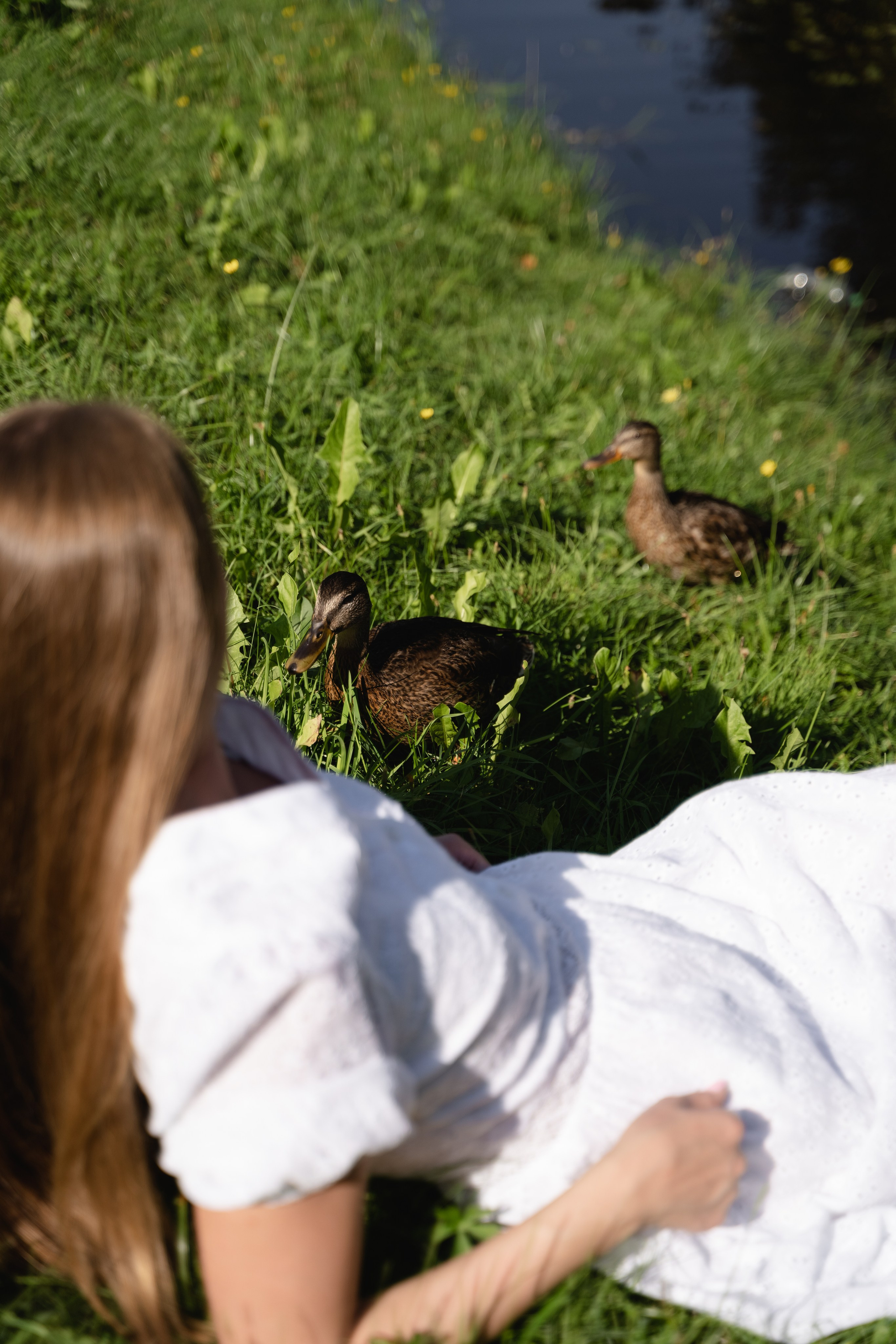 Наталья в Усадьбе Михайловское. Свадебный и семейный фотограф в Пскове и Острове Света Суворова