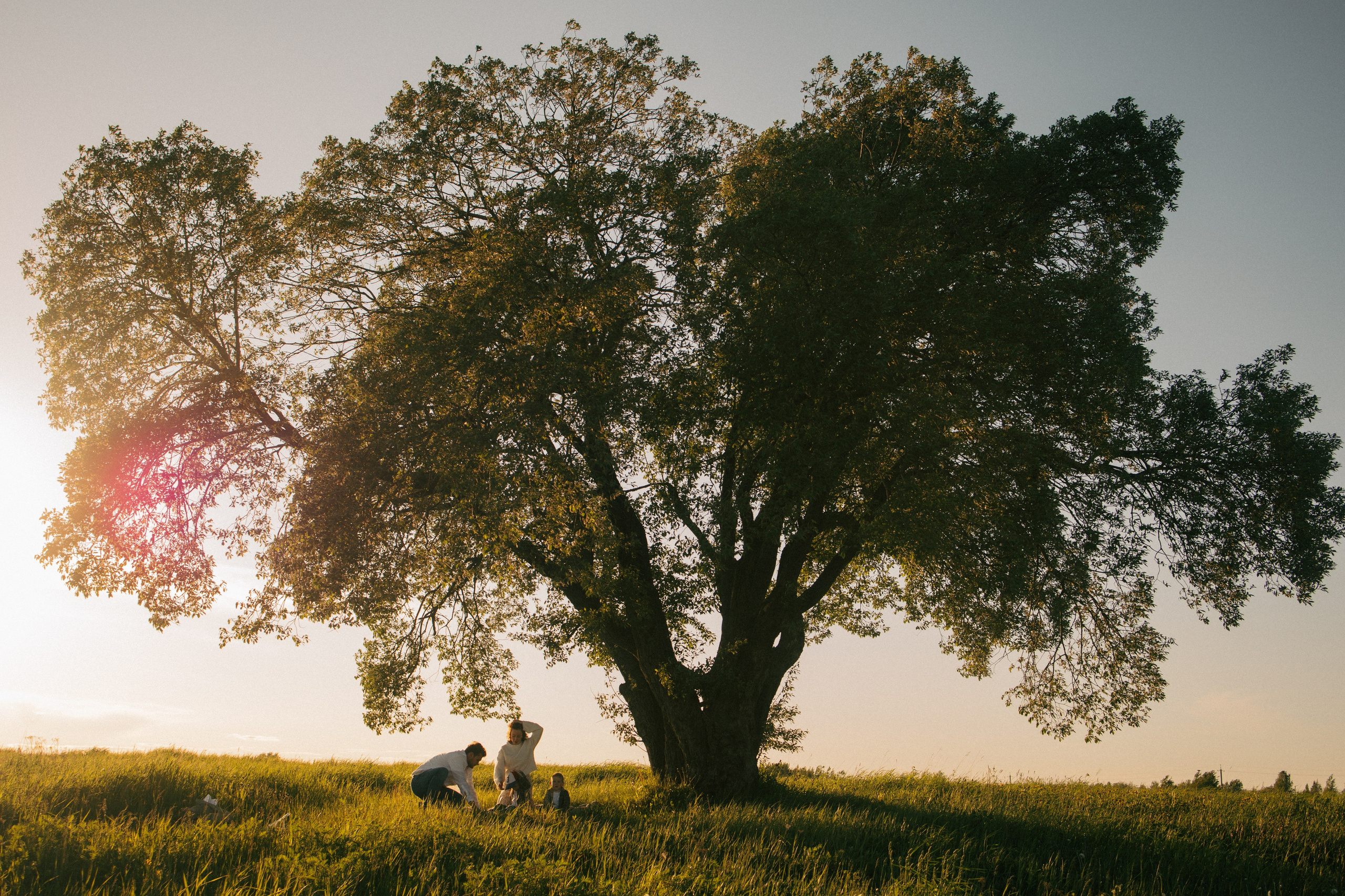 Семейная Twins. Фотограф в Санкт-Петербурге Светлана Арестова