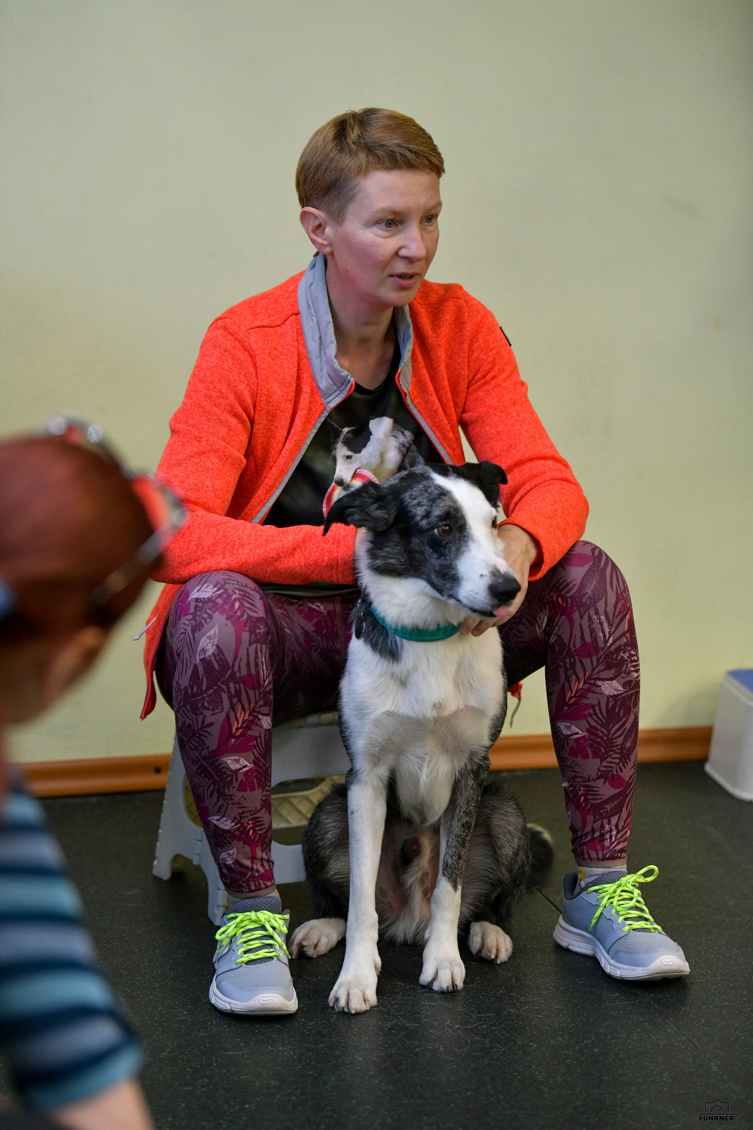 Кинологический клуб «Бодрый хвост». Свой взгляд через объектив