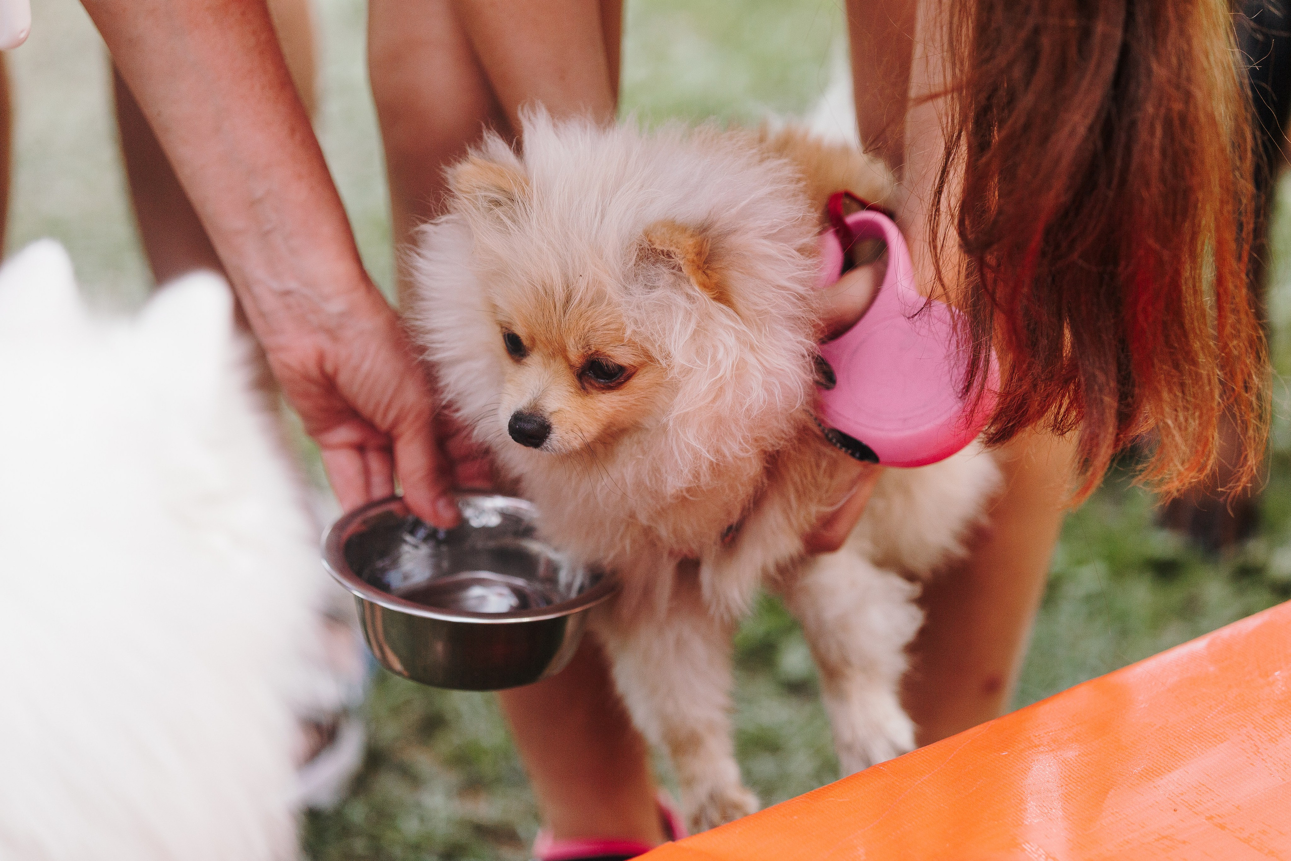 Petshop Sup day. Фотограф анималист Кристина Карпова, Москва