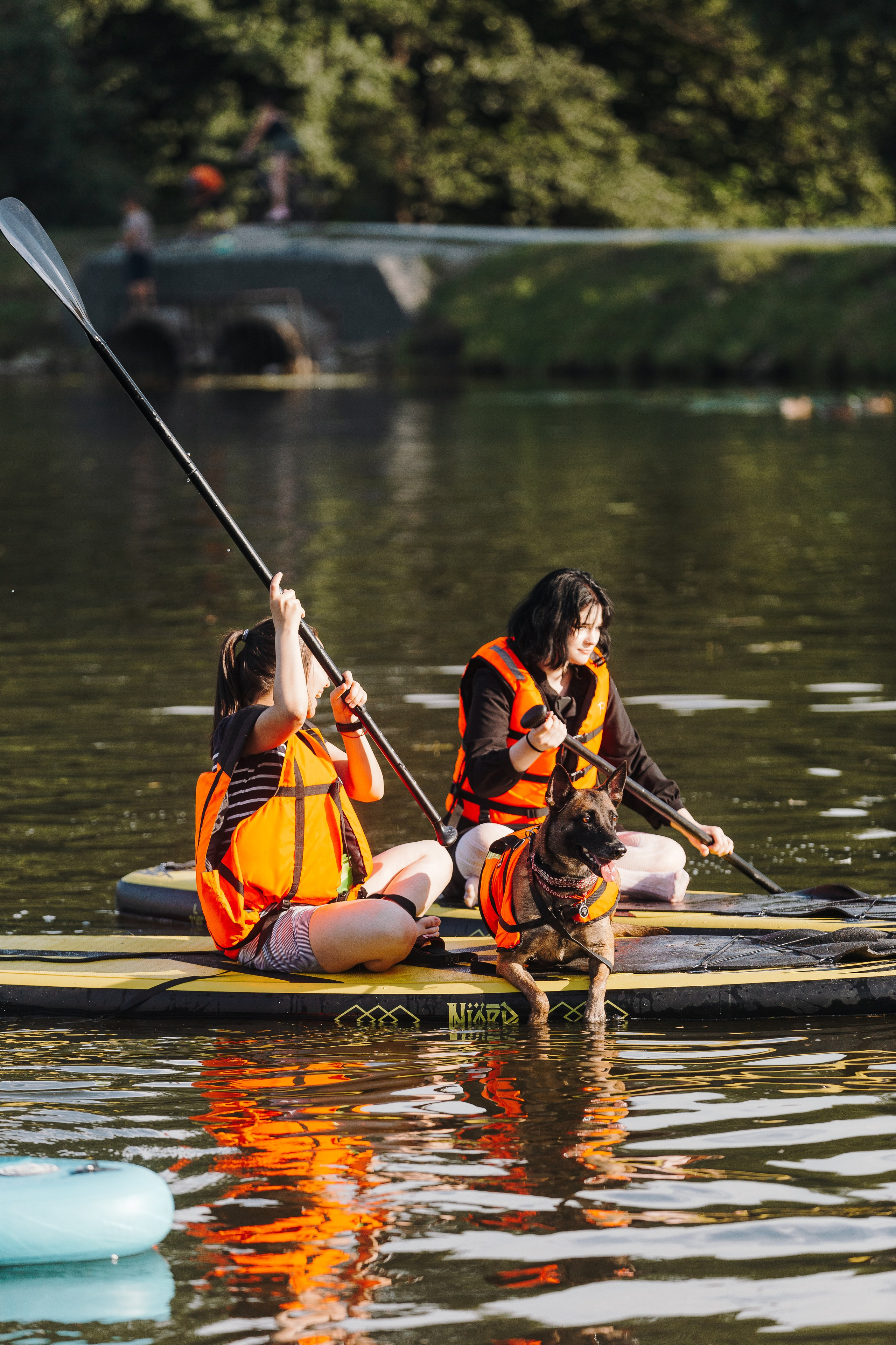 Petshop Sup day. Фотограф анималист Кристина Карпова, Москва