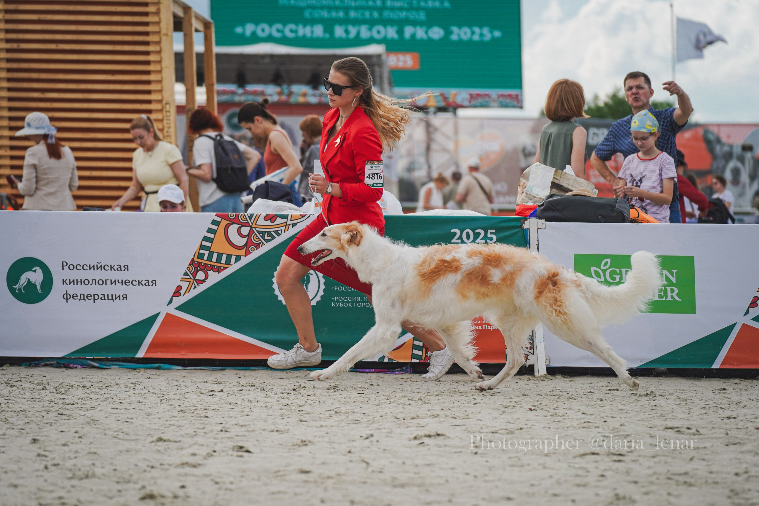 Выставки собак. Фотограф в Москве Ленарская Дарья