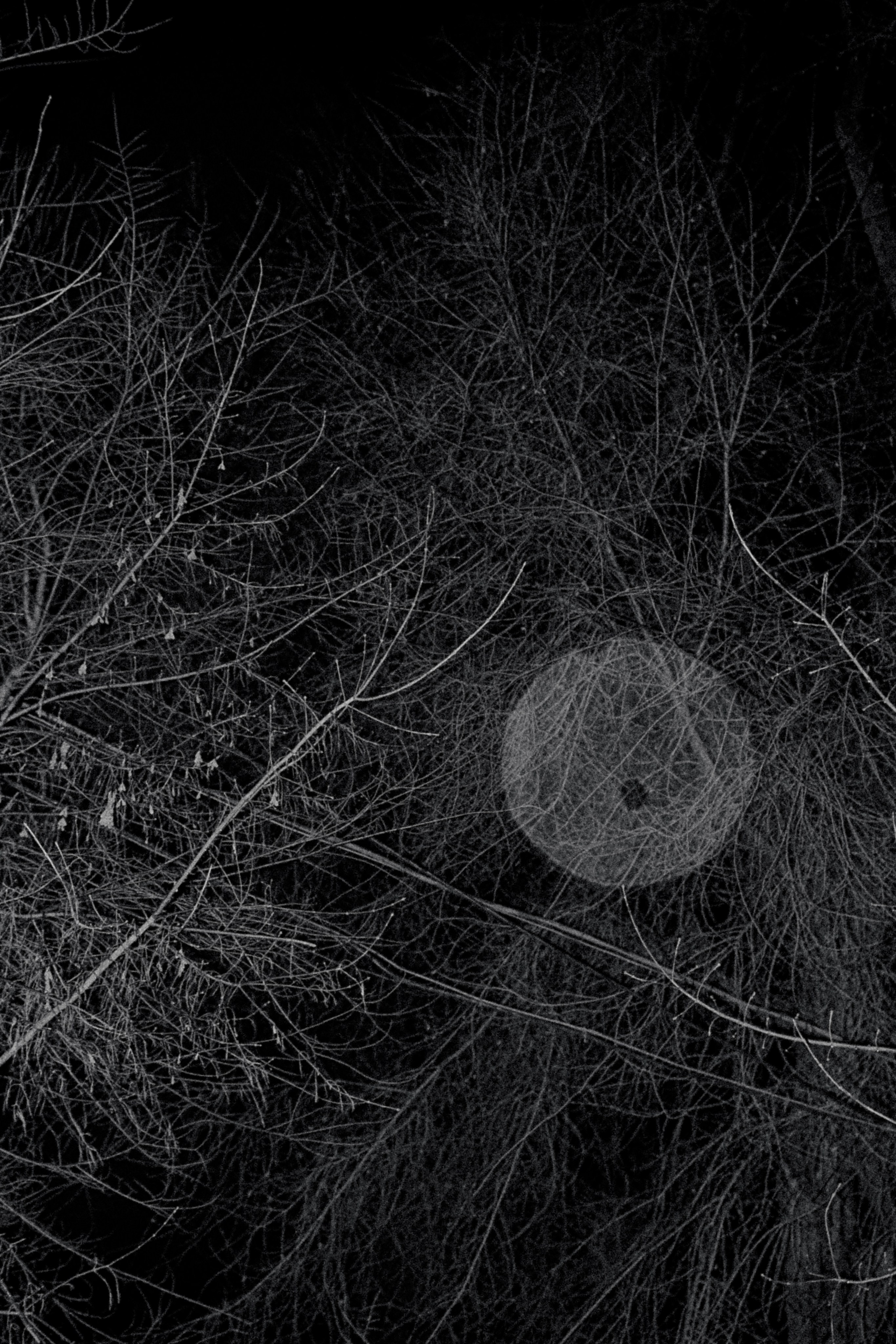 Город Н. Предание о руинах: АРХИВ ПУСТОТЫ