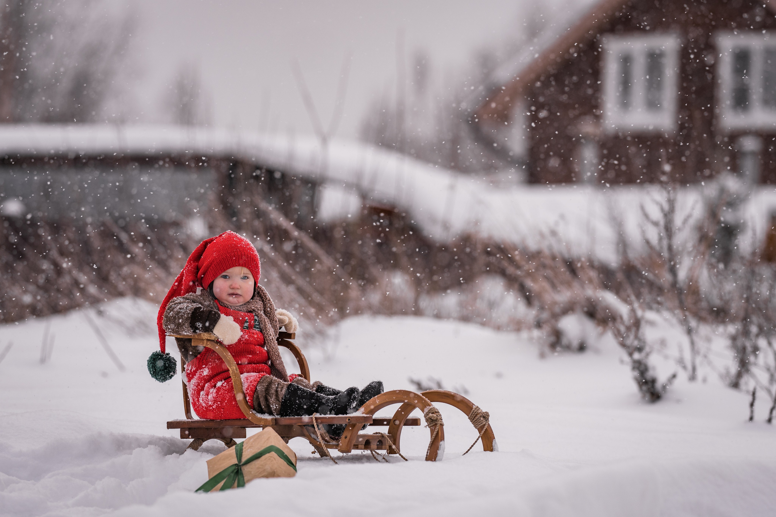 Снежная прогулка на санках. Семейный фотограф Ефремова Виктория