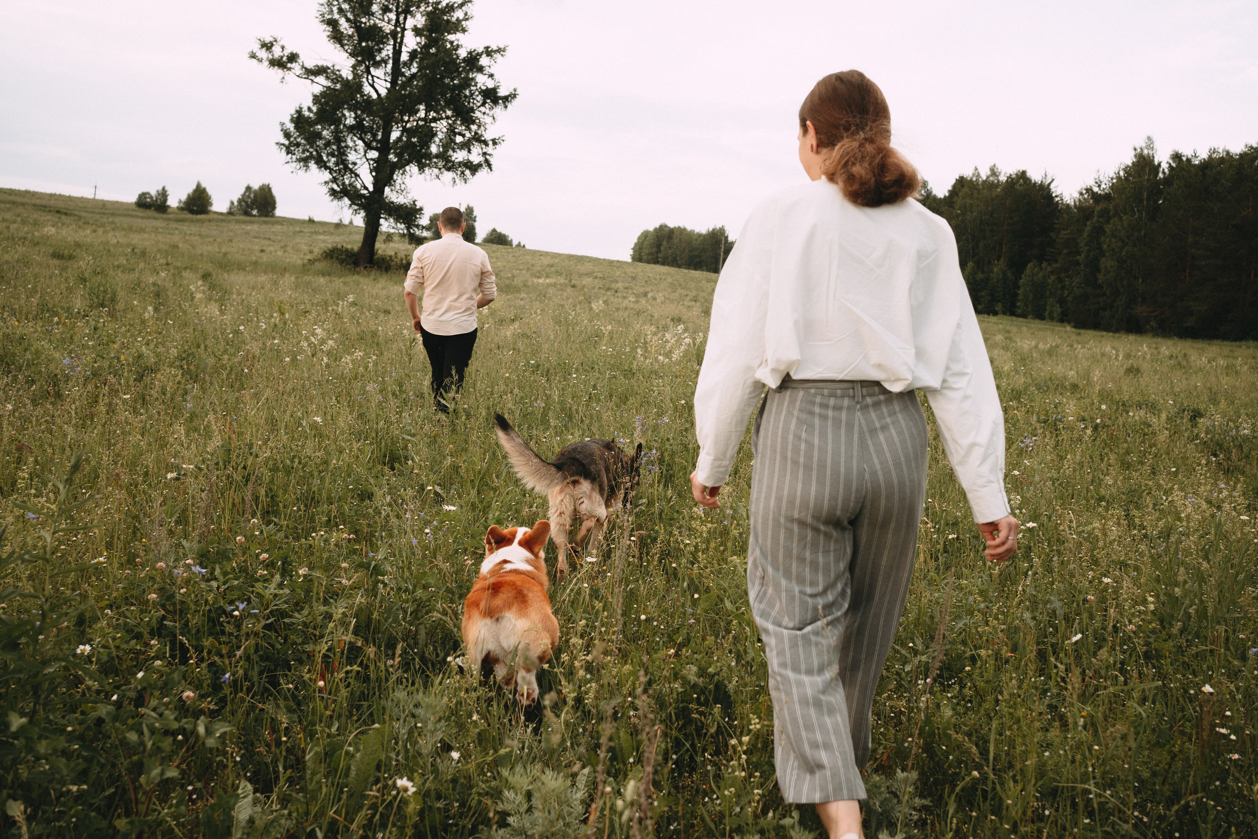 Алсу, Саша, Нага и Тако. Фотограф-анималист Анастасия Большакова
