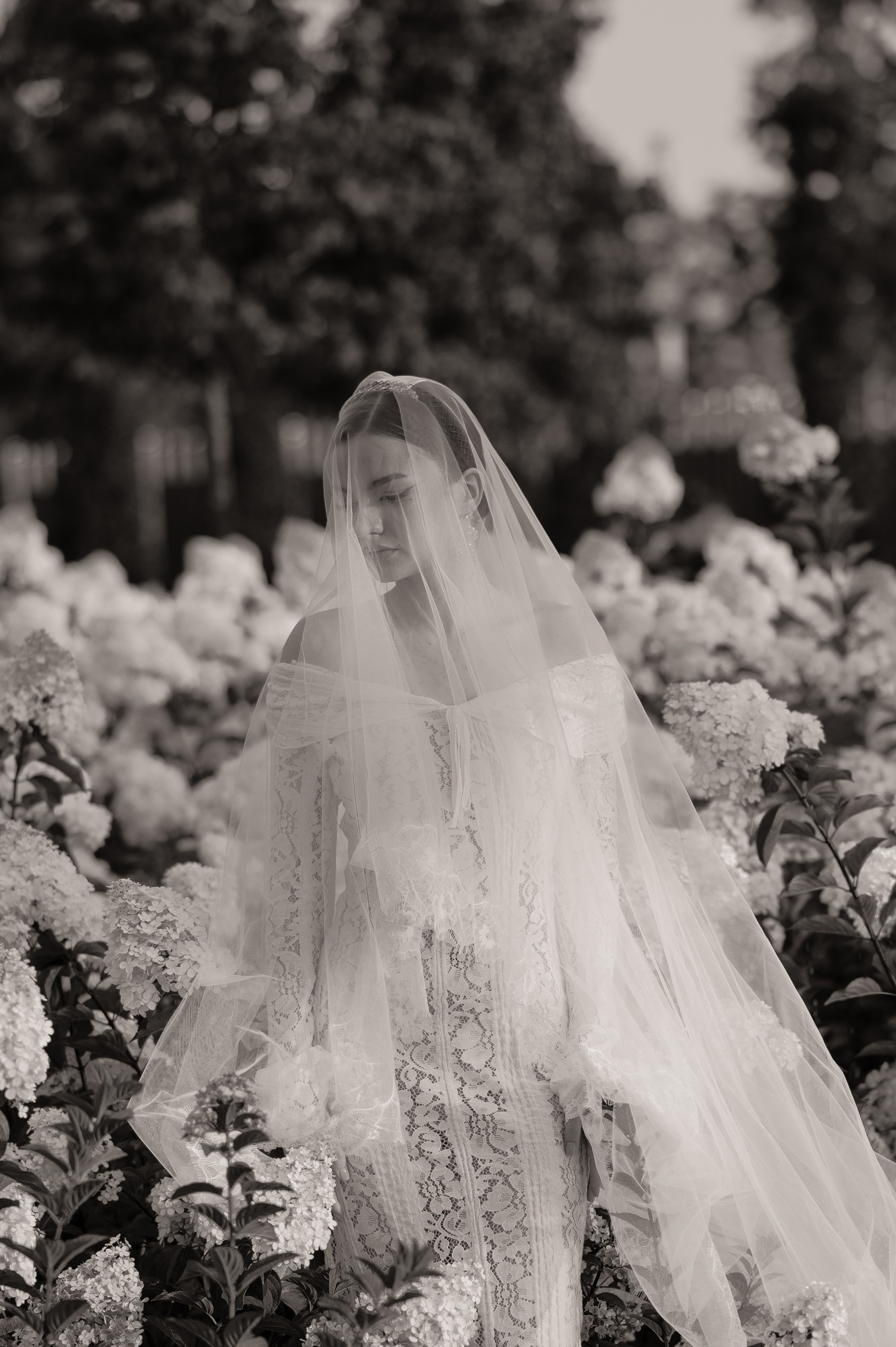 Арина (невеста). Свадебный и семейный фотограф в Краснодаре Алина Мельник