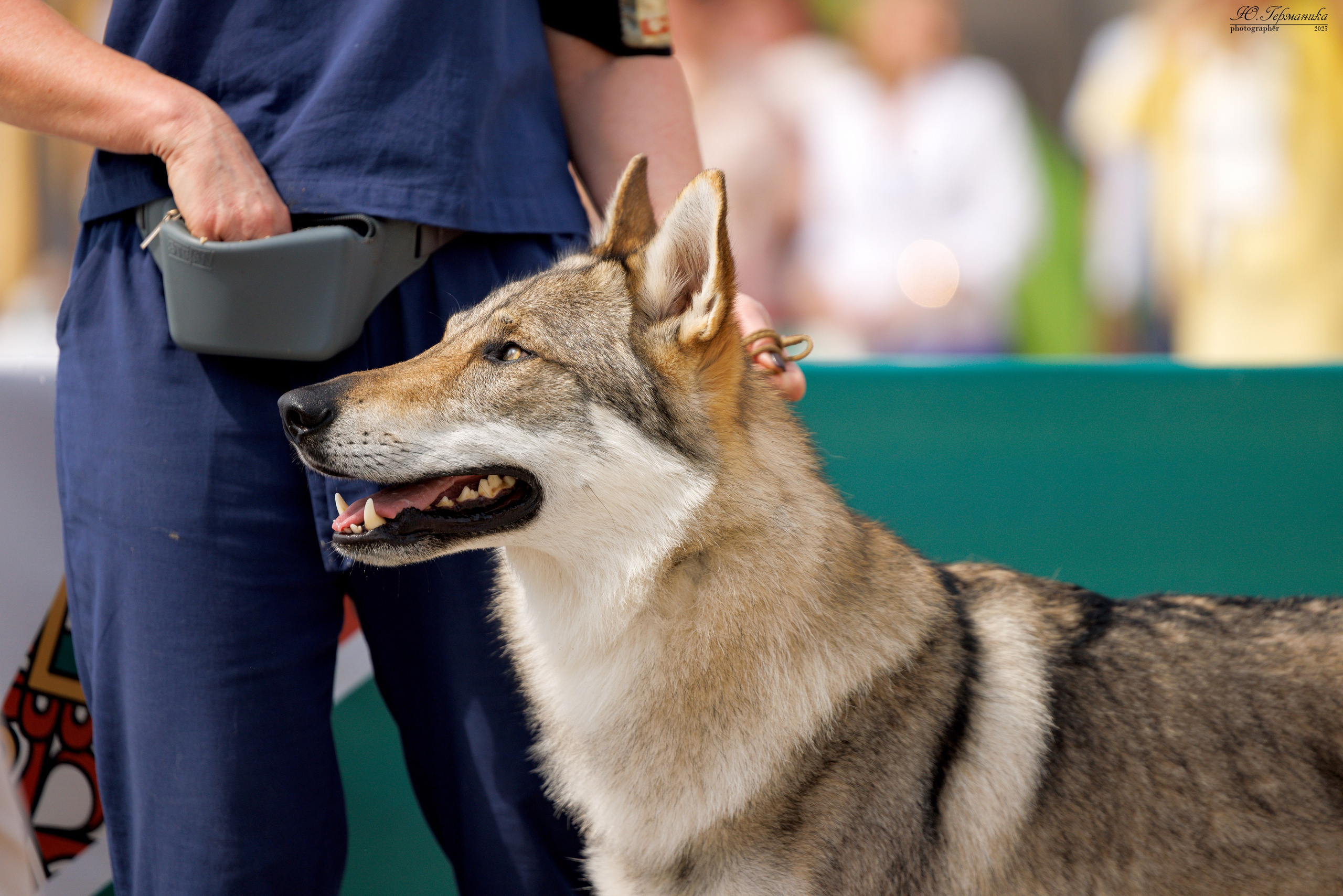 РОССИЯ 7-8.06.2025. Фотограф-анималист Юлия Германика