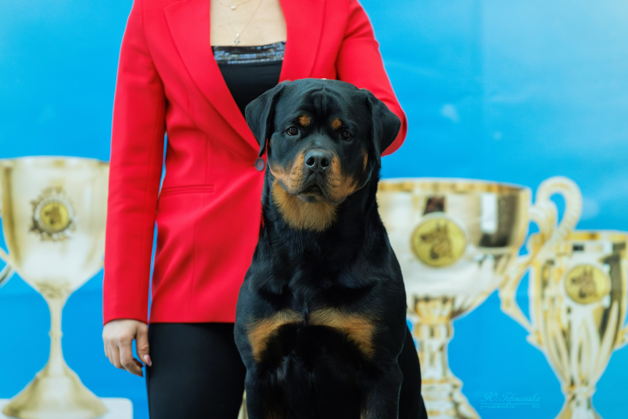 Минск 23.11.2024. Фотограф-анималист Юлия Германика