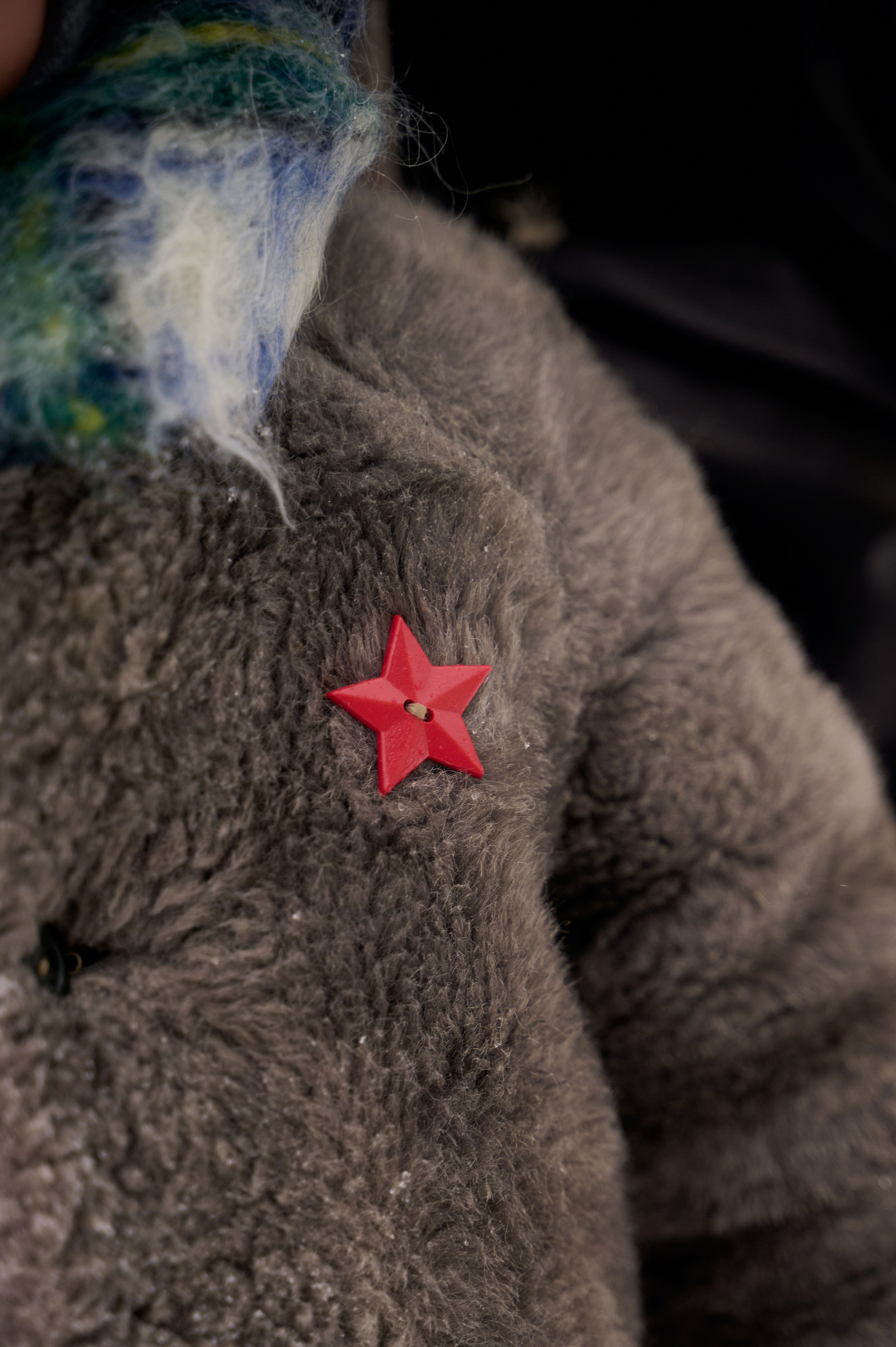 Северный олень. Фотограф Егорьевск Коломна Воскресенск