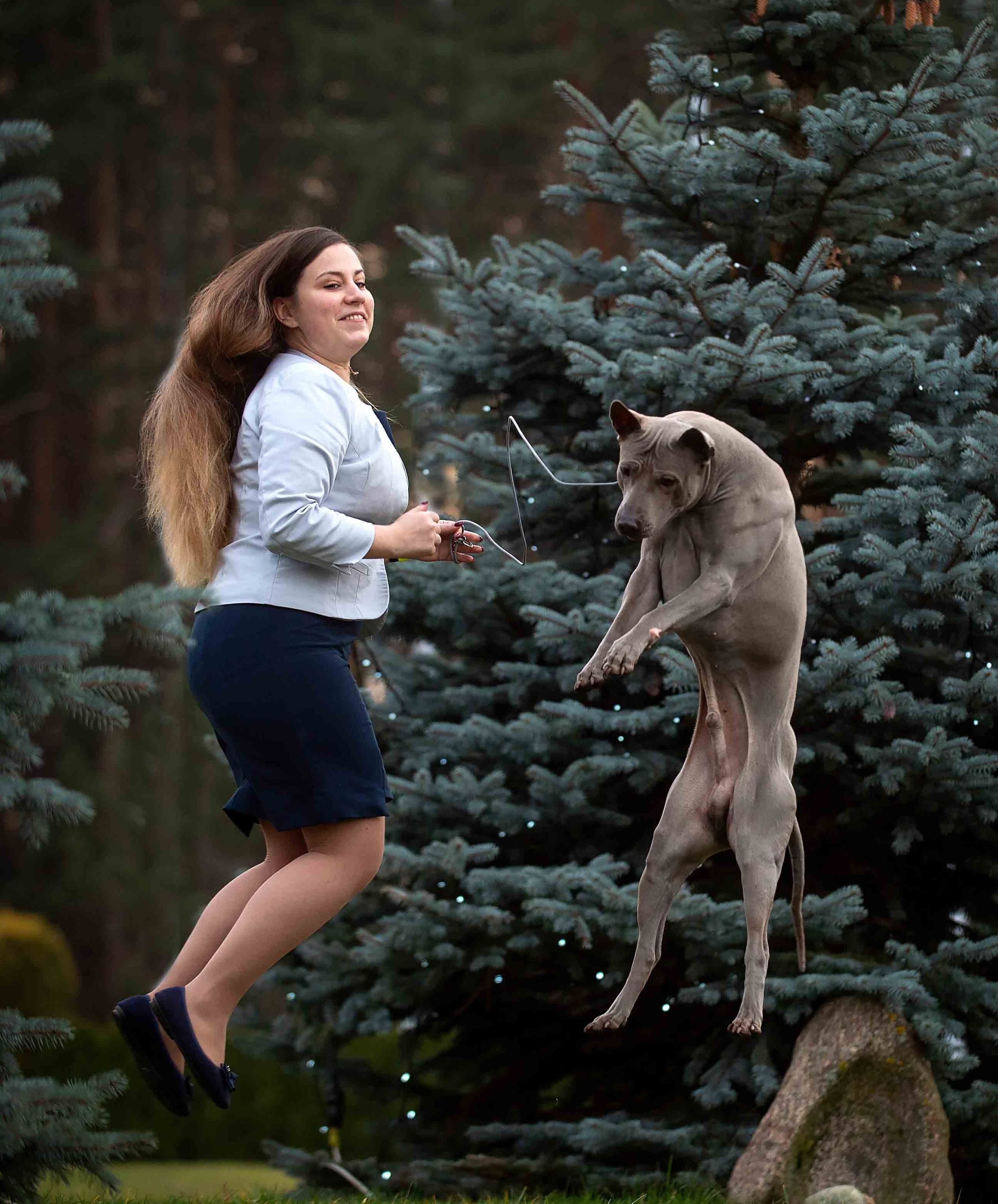 Фото с домашними питомцами. Портретная и свадебная фотосъемка. Москва и область