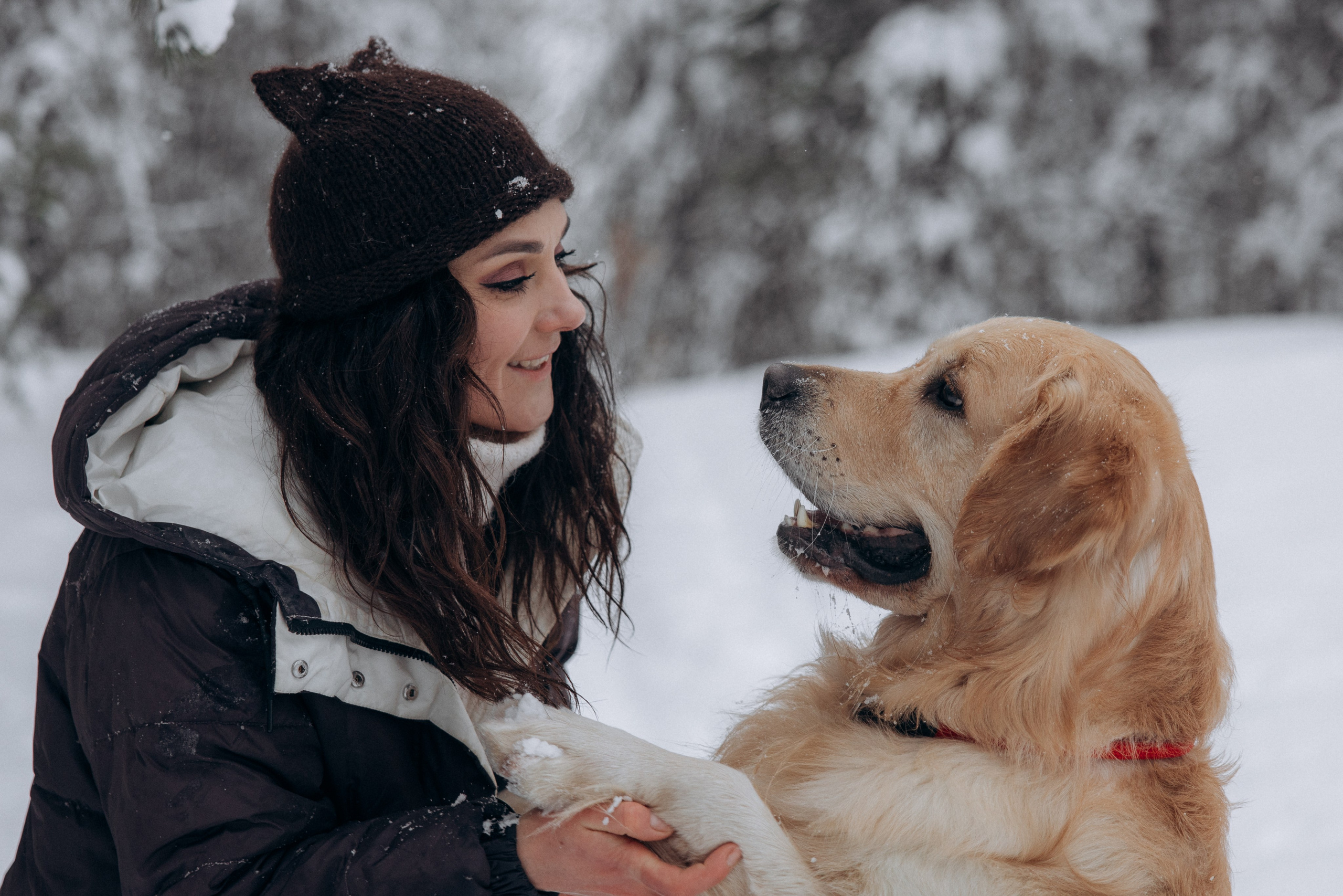 Зимняя история, Света и Чарли. Фотограф анималист в Казани Алина Сулейманова. Фотограф животных