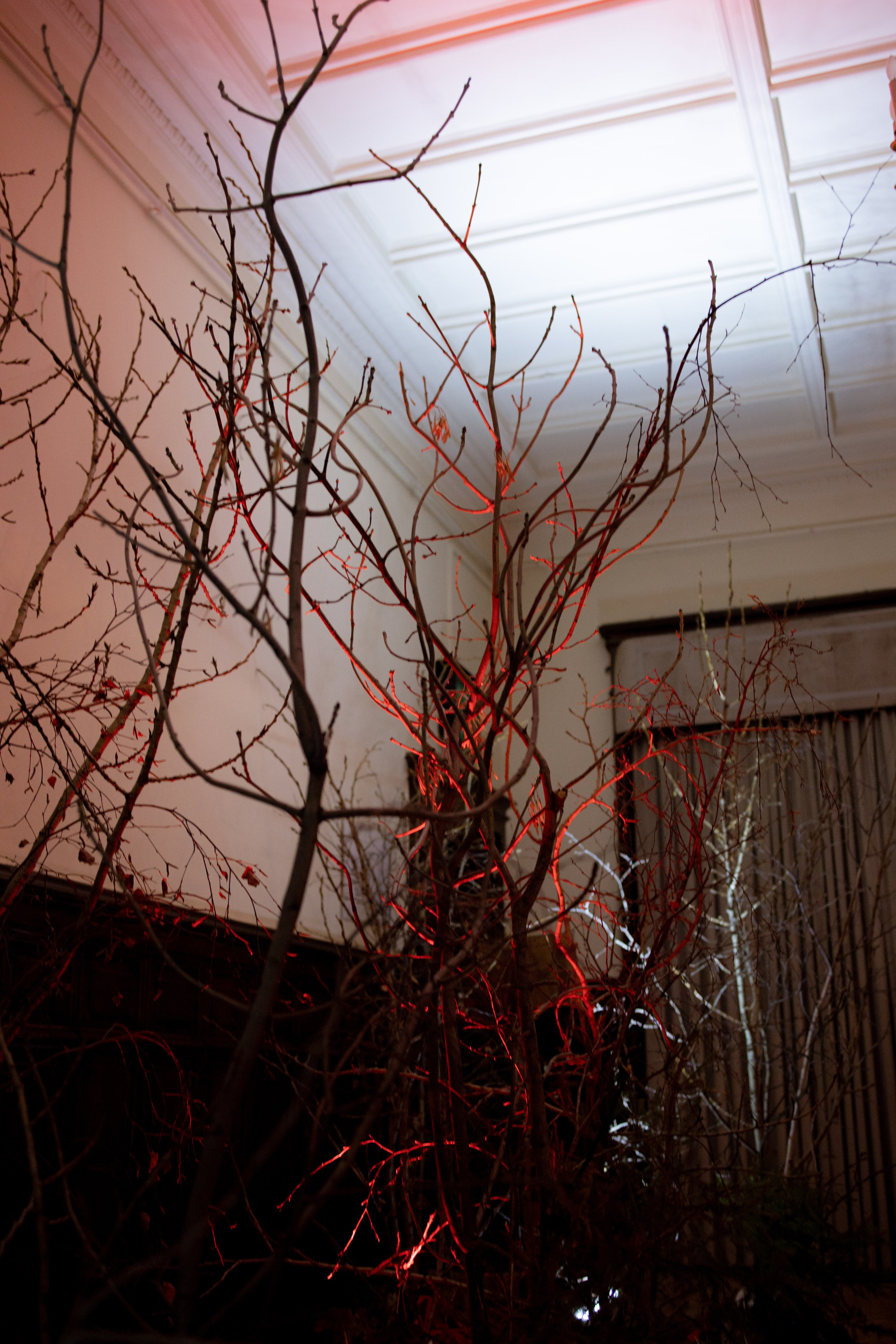 Новогодний корпоратив в фольклорном стиле. Особняк Лемана. Оформление свадеб, декор свадеб Вера Маркова, Москва