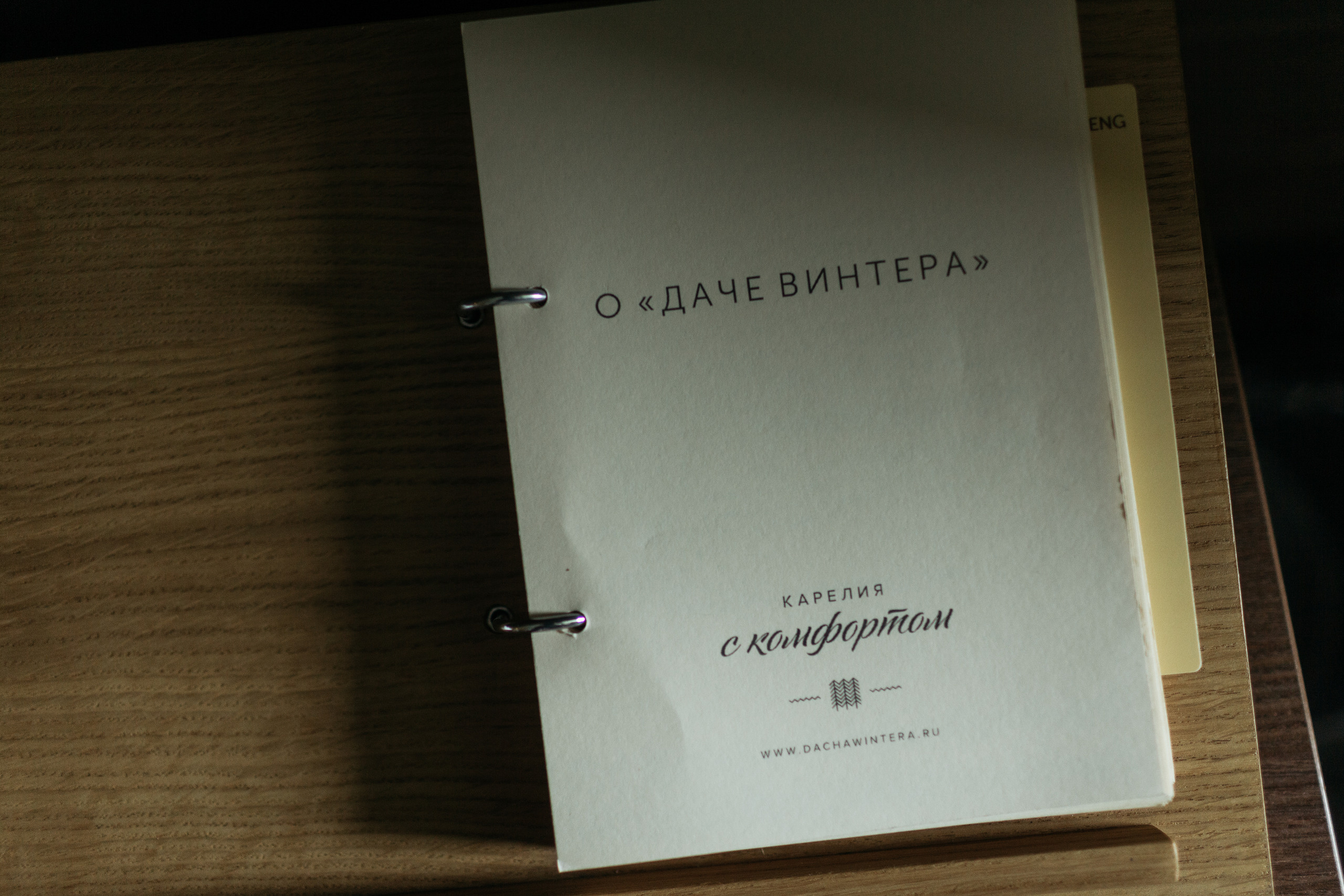 Дача Винтера. Портфолио свадебного фотографа. Роман Каргаполов