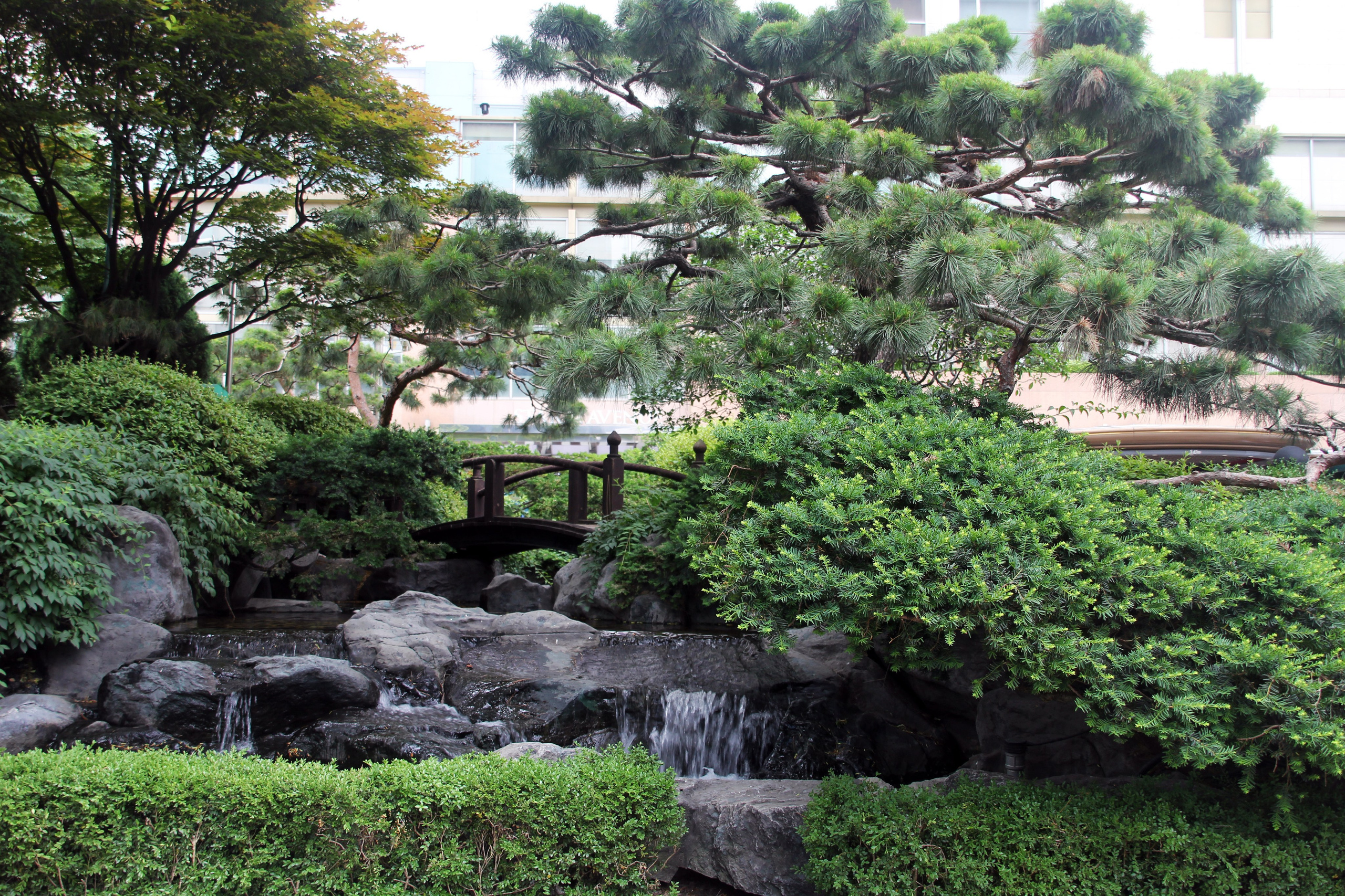 Южная Корея — Сеул. Фотограф Алексей Федорищев