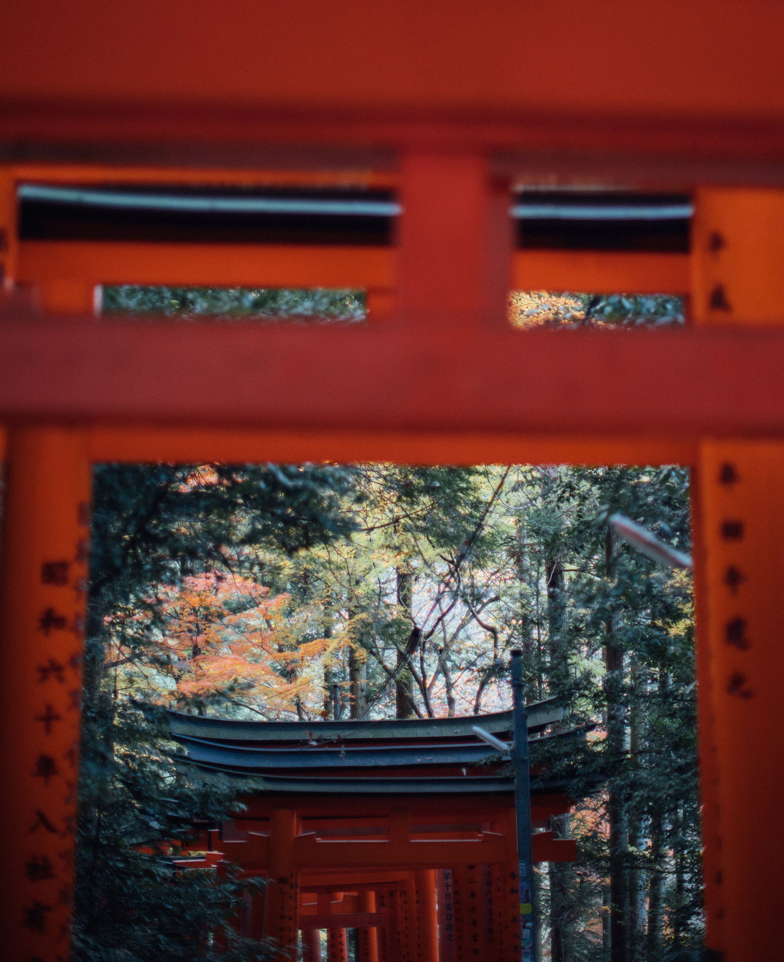 Япония. Главная