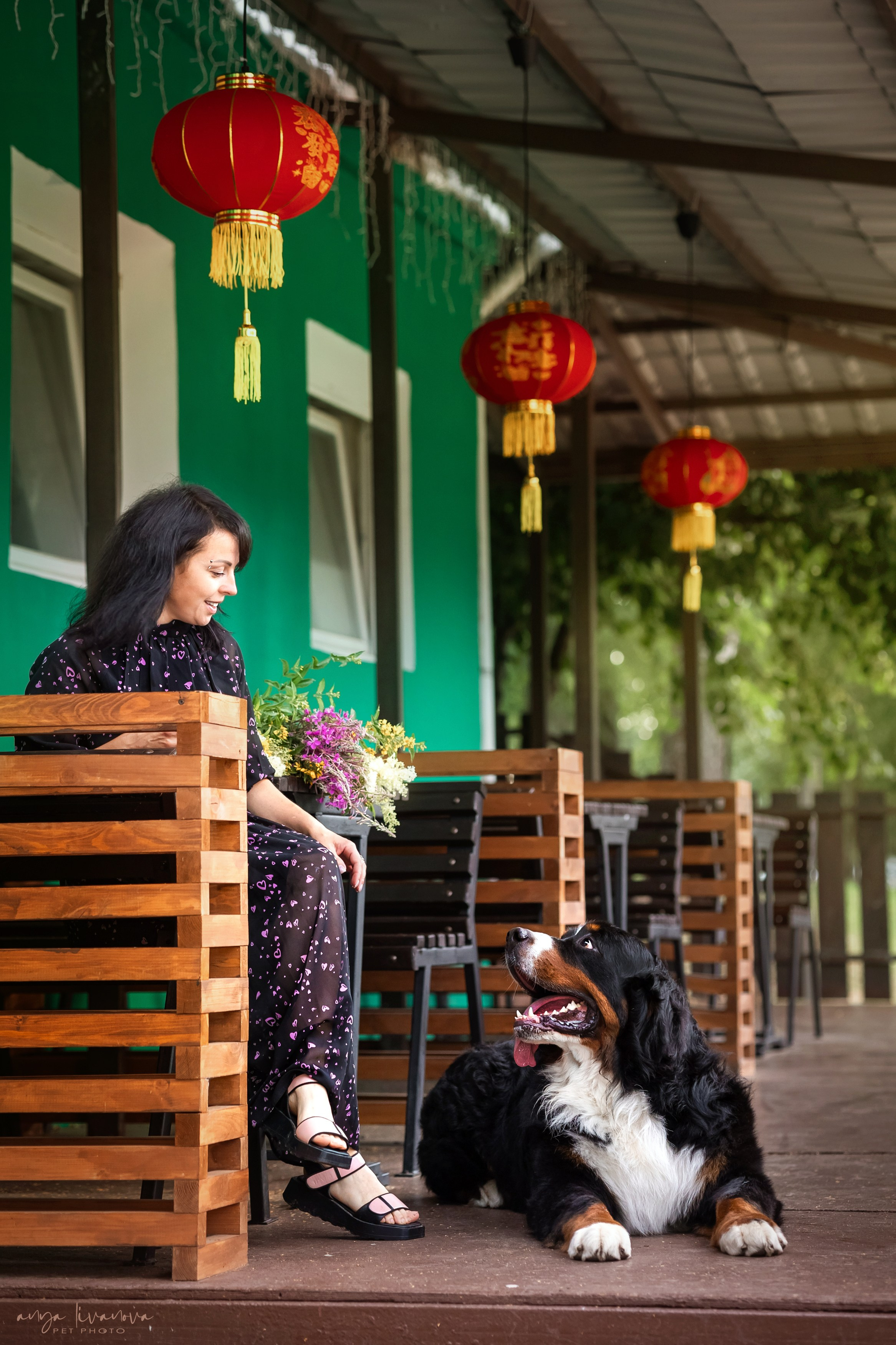 Маша и Буч. Фотограф анималист Аня Ливанова | Рыбинск