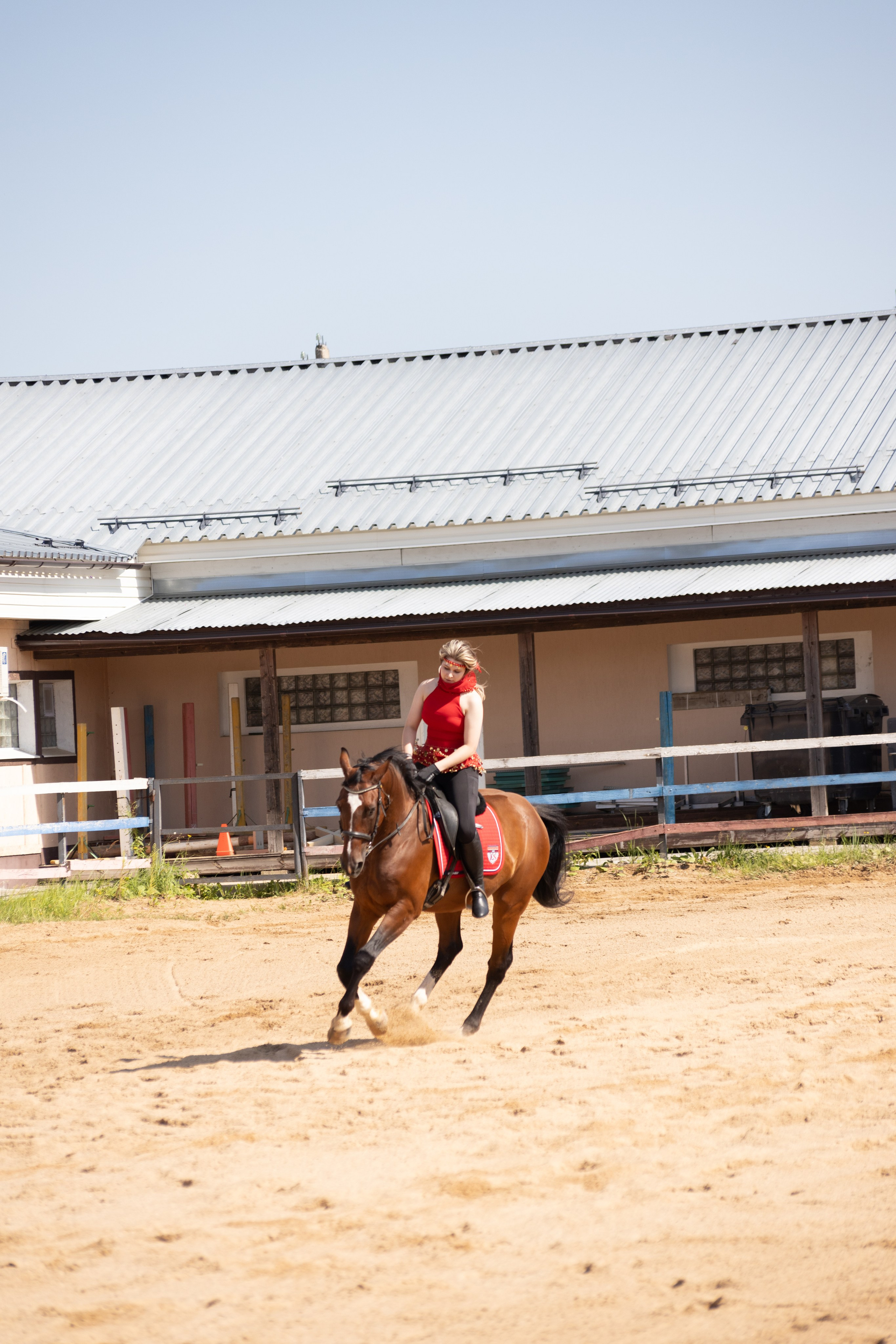 Конюшня. Фотограф в Москве и Истре