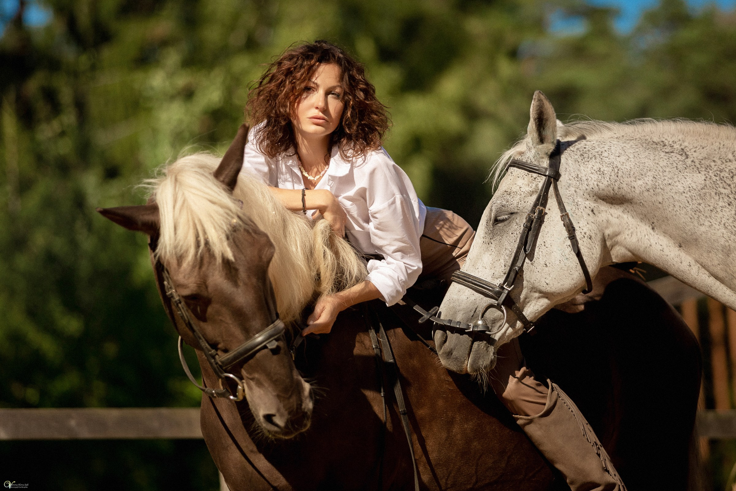 Фотосессия с лошадьми в катри-стиле. Фотограф женский и мужской портрет Санкт-Петербург