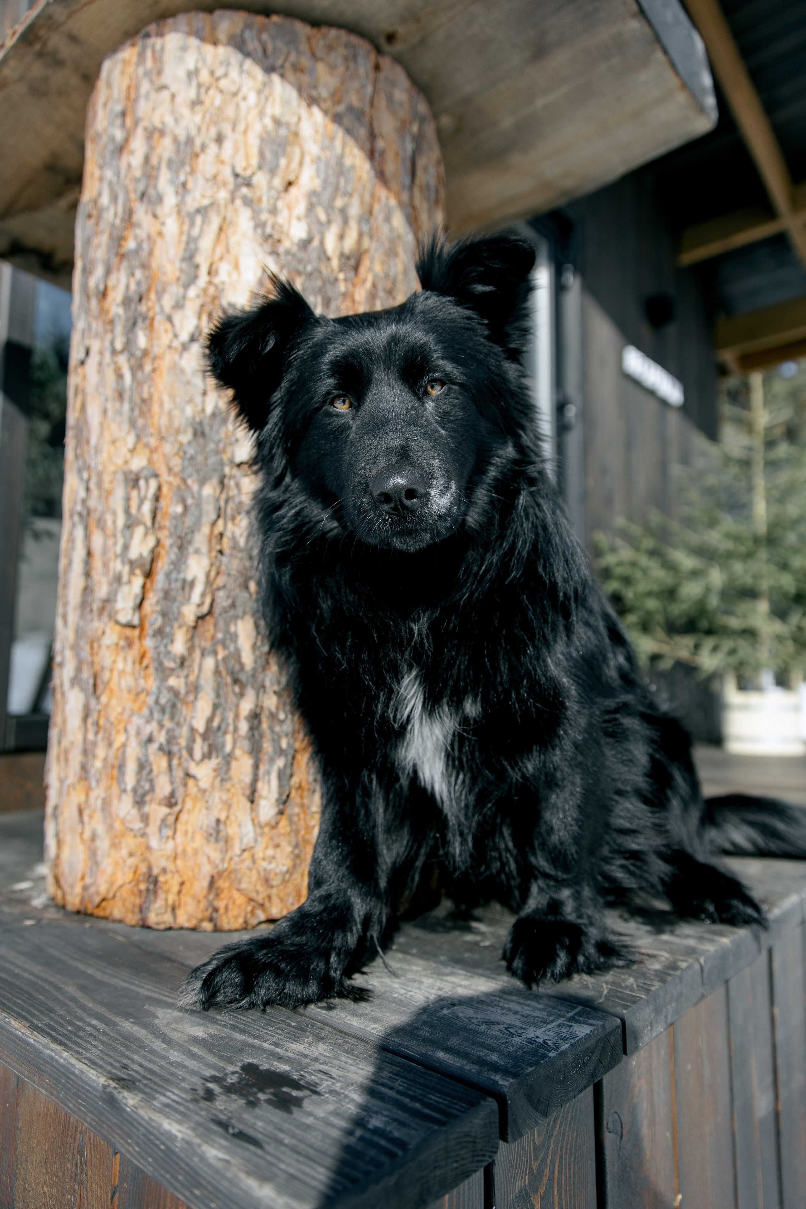 ДЕНЬ ДОЖДЕНИЯ ЕКАТЕРИНЫ. Фотограф в Красноярске