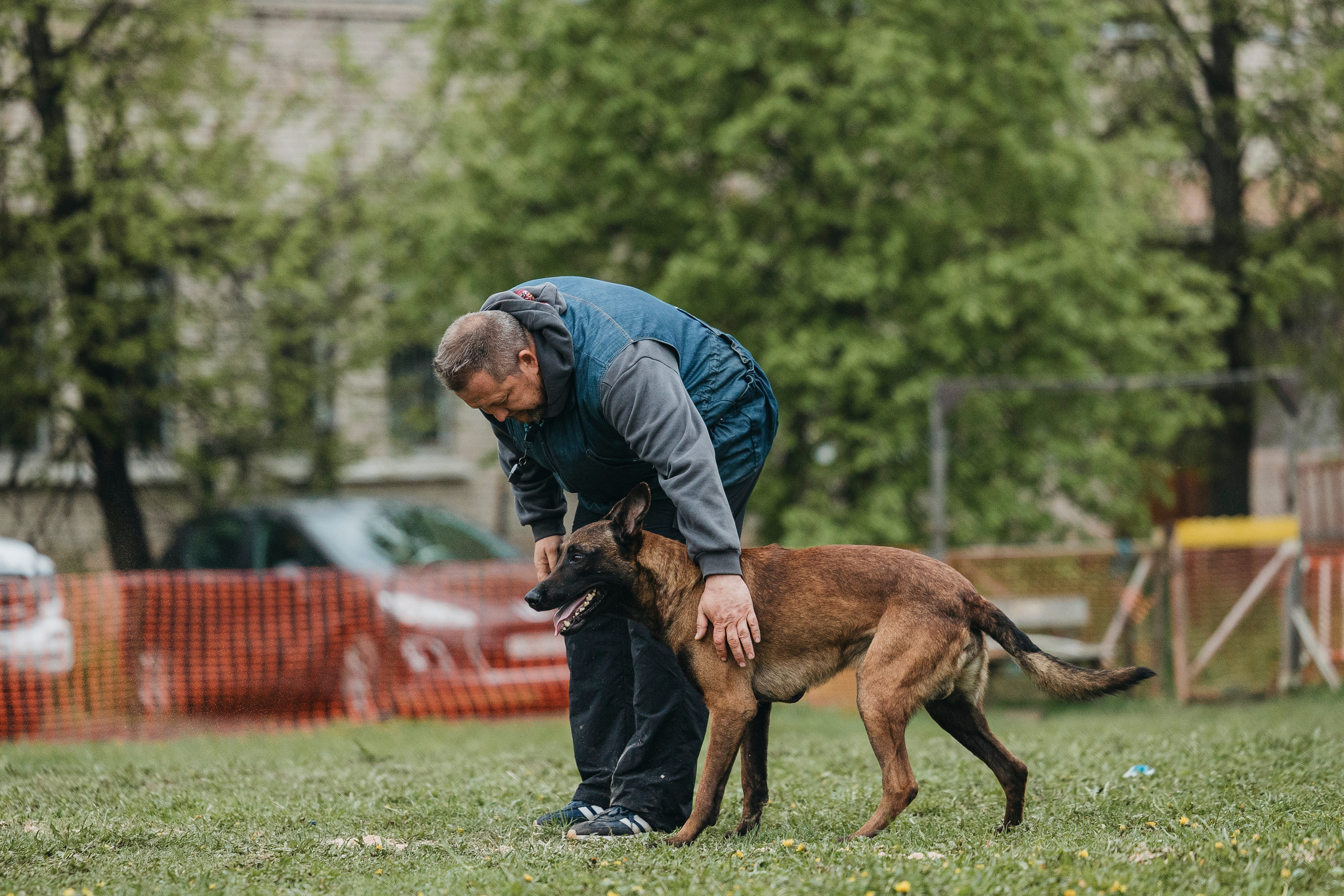 26.05.25 г. Пушкин квалификационные соревнования. Фотограф-анималист Анна Маринич