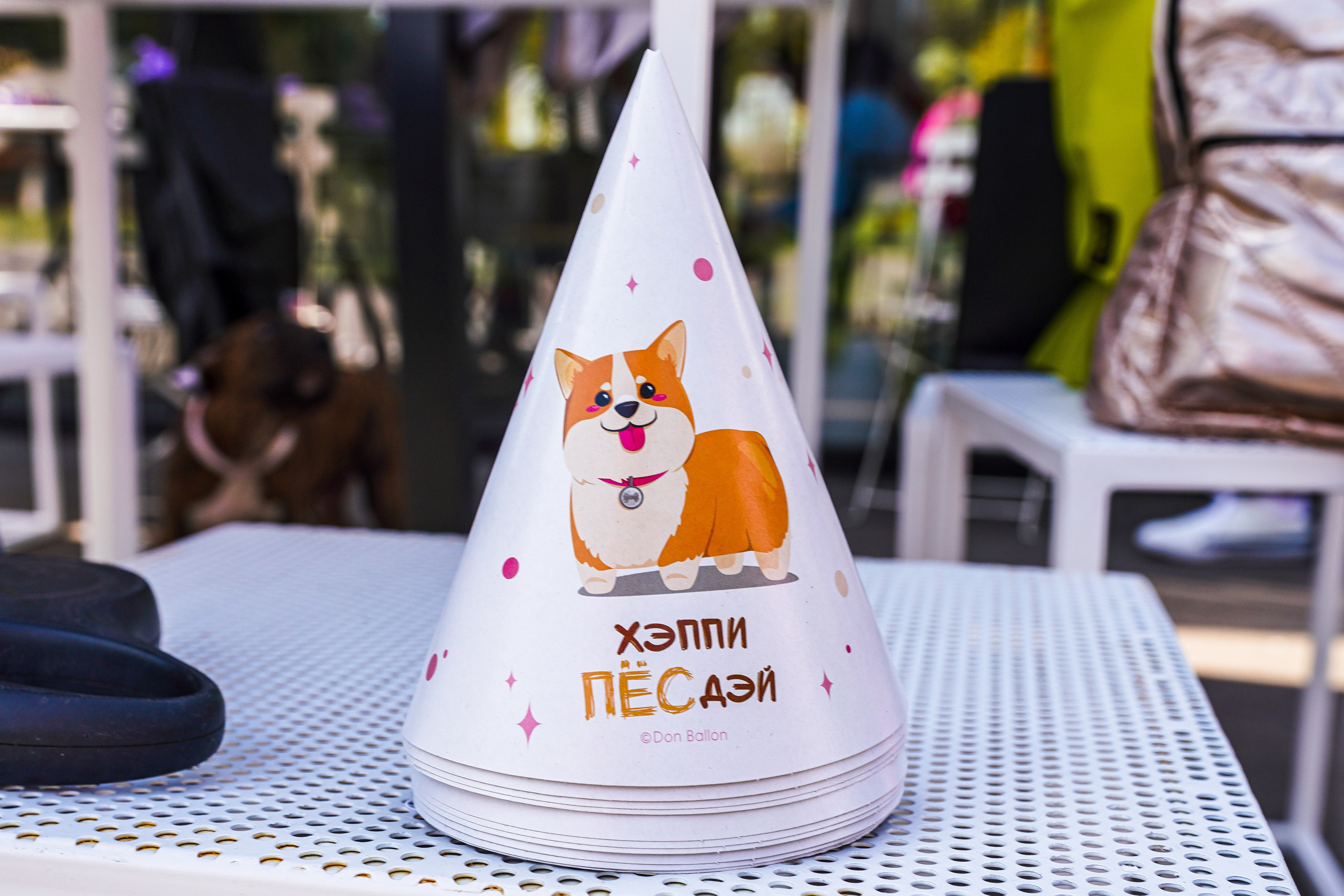 ДР собаки по имени Моррис :). Фотограф Казань