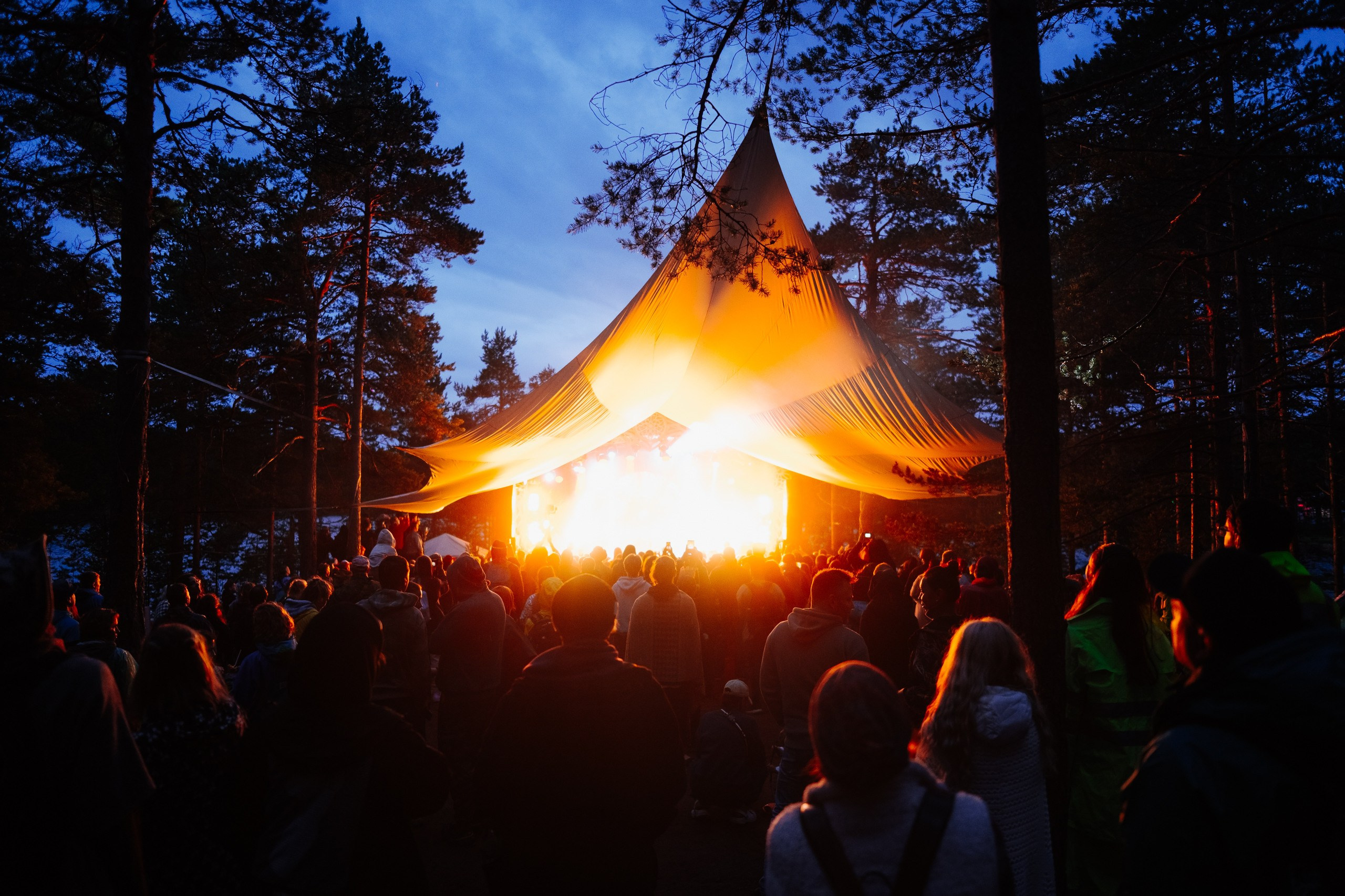 Ethnoscope `23. KORSHIKOV SERGEY