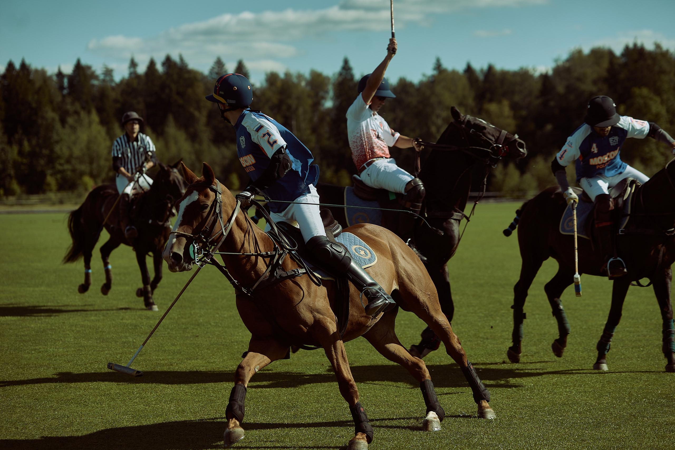 HORSE POLO. Фотограф Наталья Леонова
