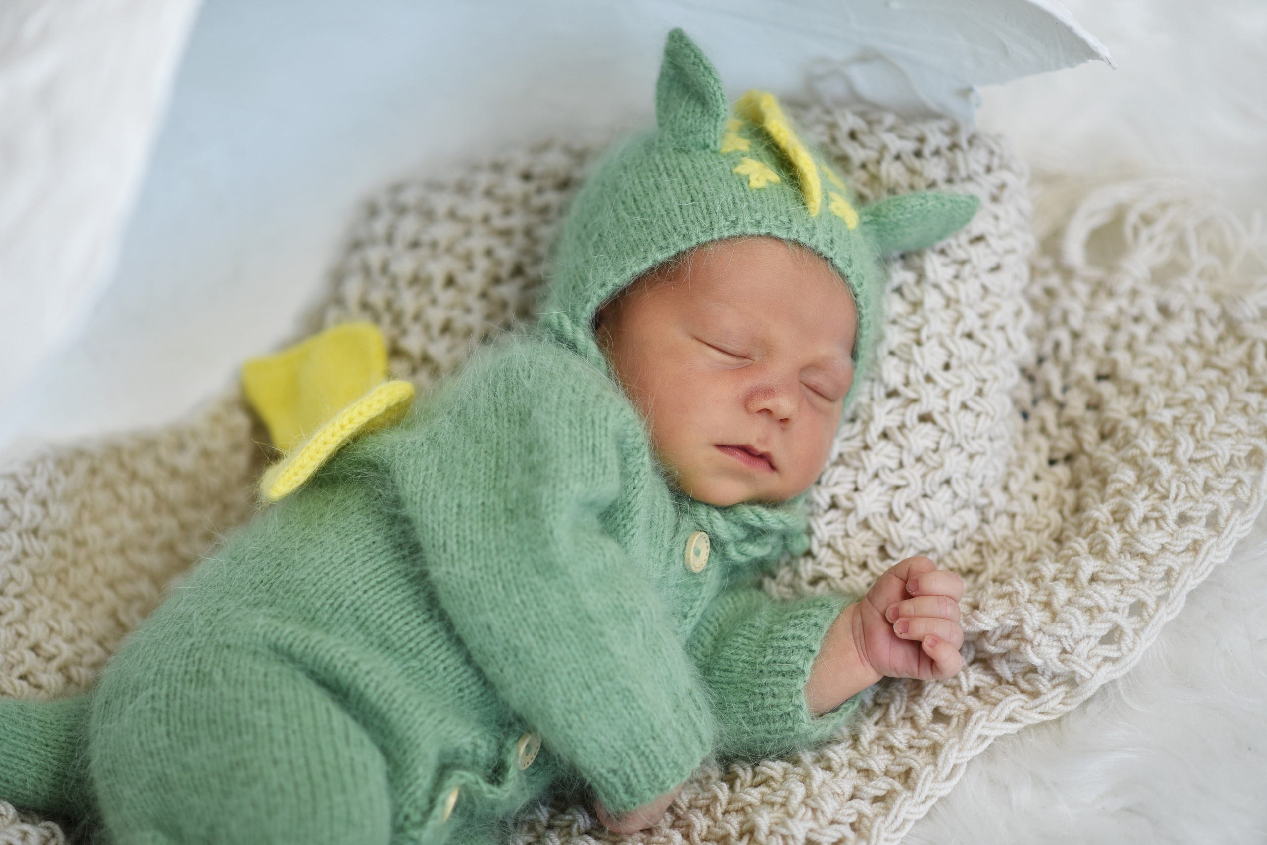 Артем-динозаврик. Семейный, детский и школьный фотограф в Димитровграде Наумова Екатерина