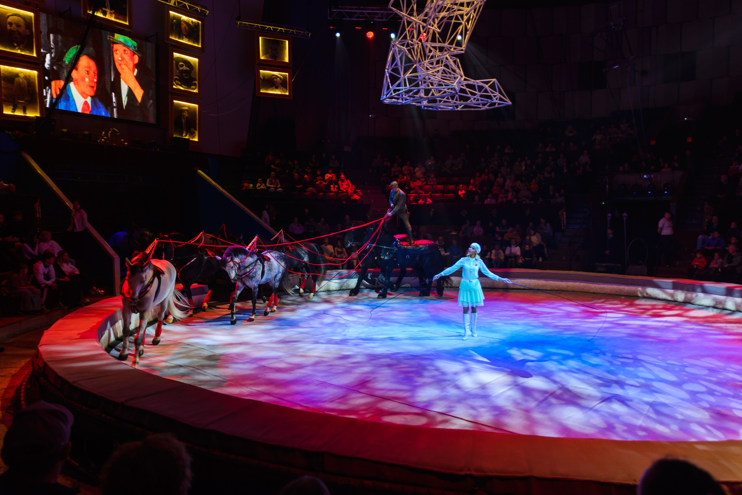 Пермский государственный цирк. Фотограф в Ханты-Мансийске Евгений Жуланов