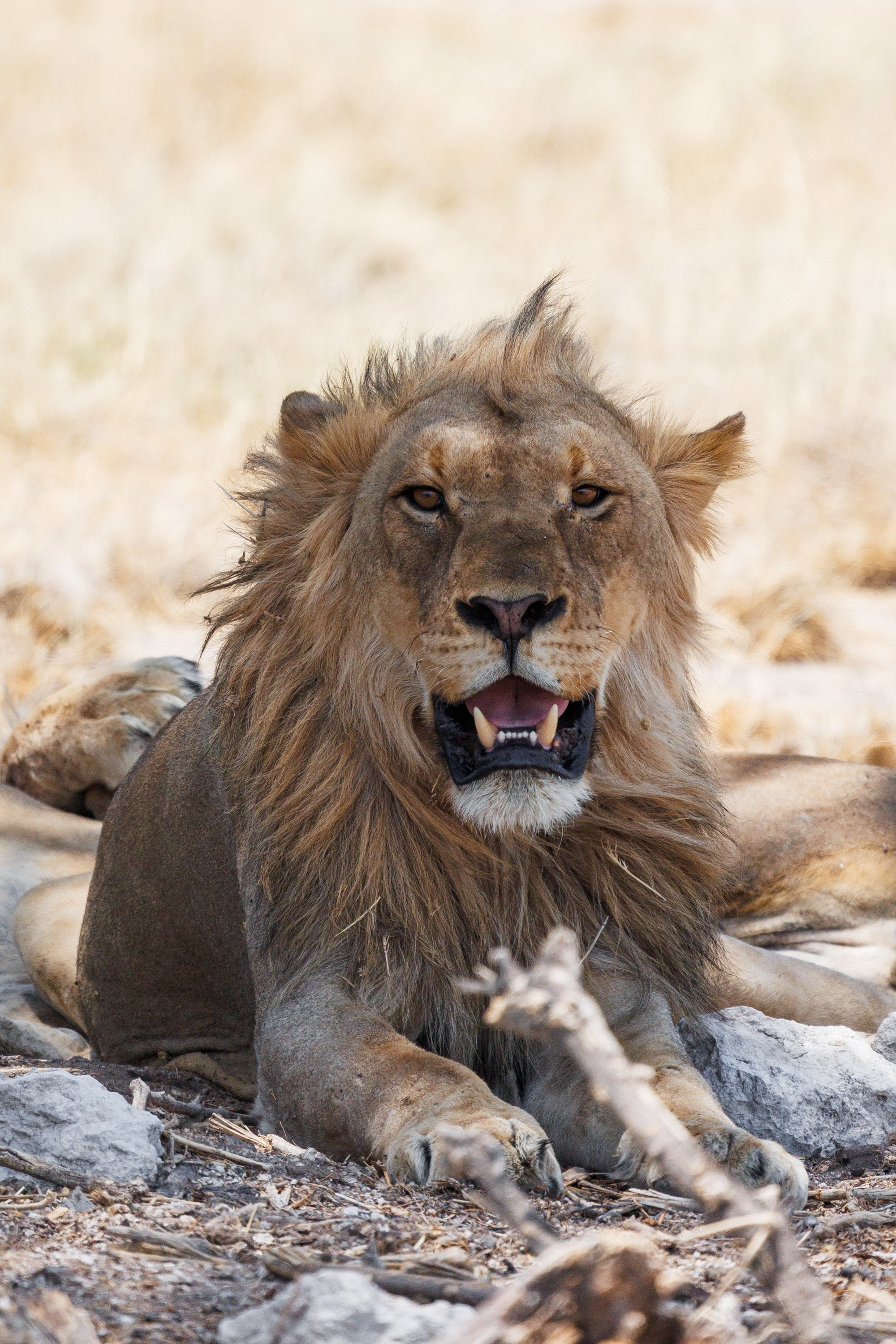 НАМИБИЯ. Роадтрип