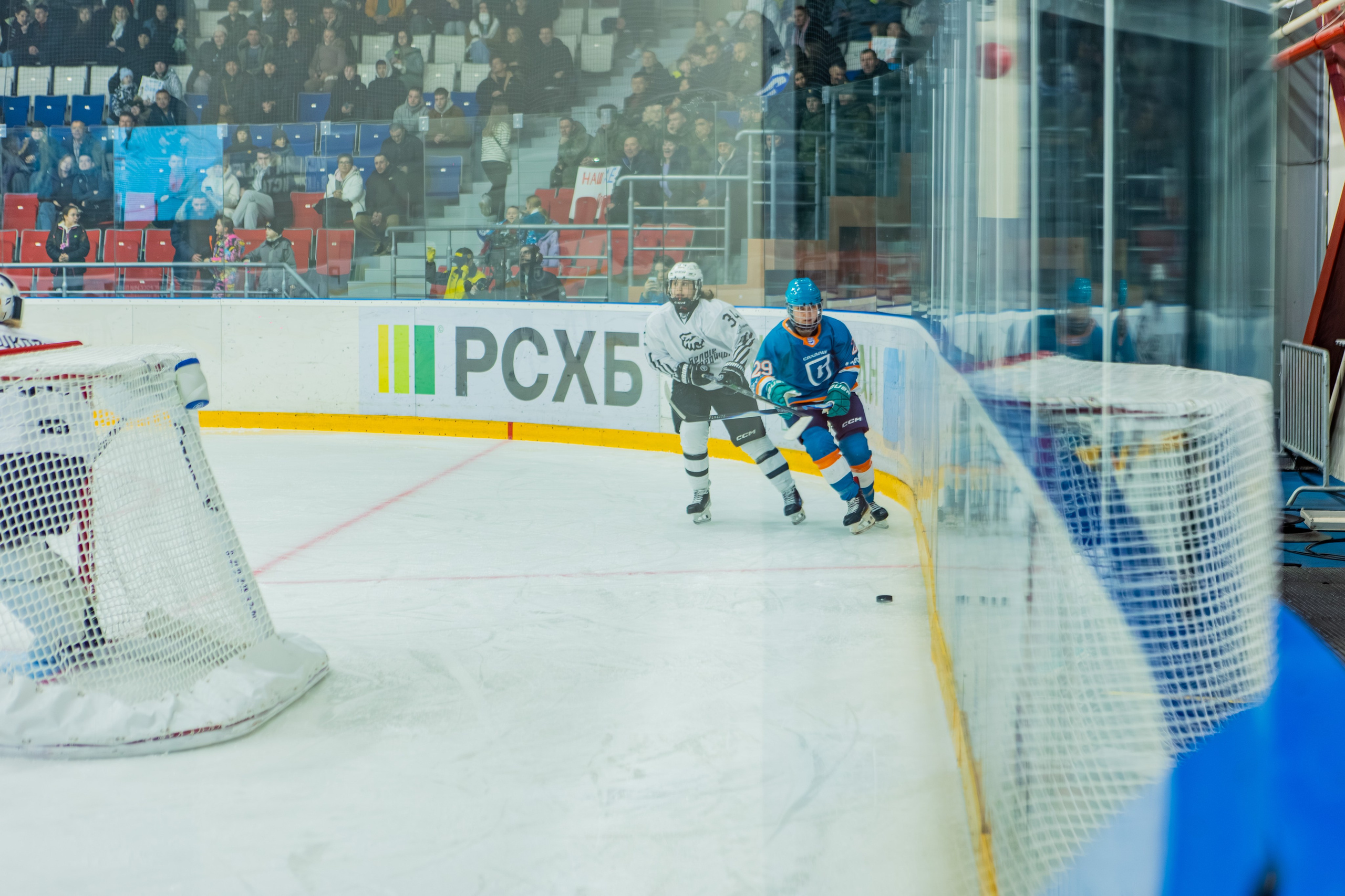 Матч «Сахалин"-"Белые Медведицы». Свадебный фотограф в Южно-Сахалинске Валерий Харченко