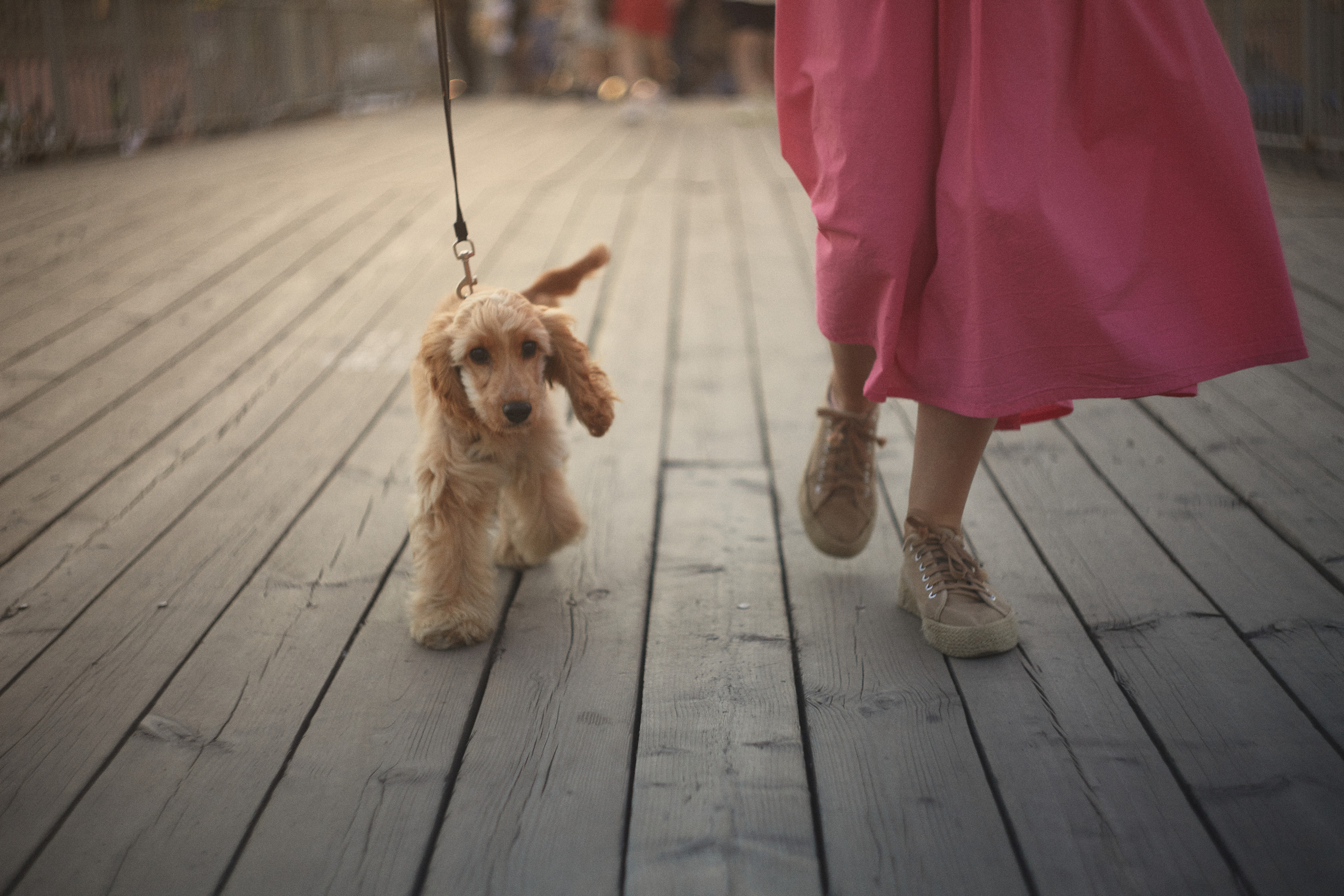 Прогулка с Афиной и Катей. Одежда из Санкт-Петербурга СИНИОКО