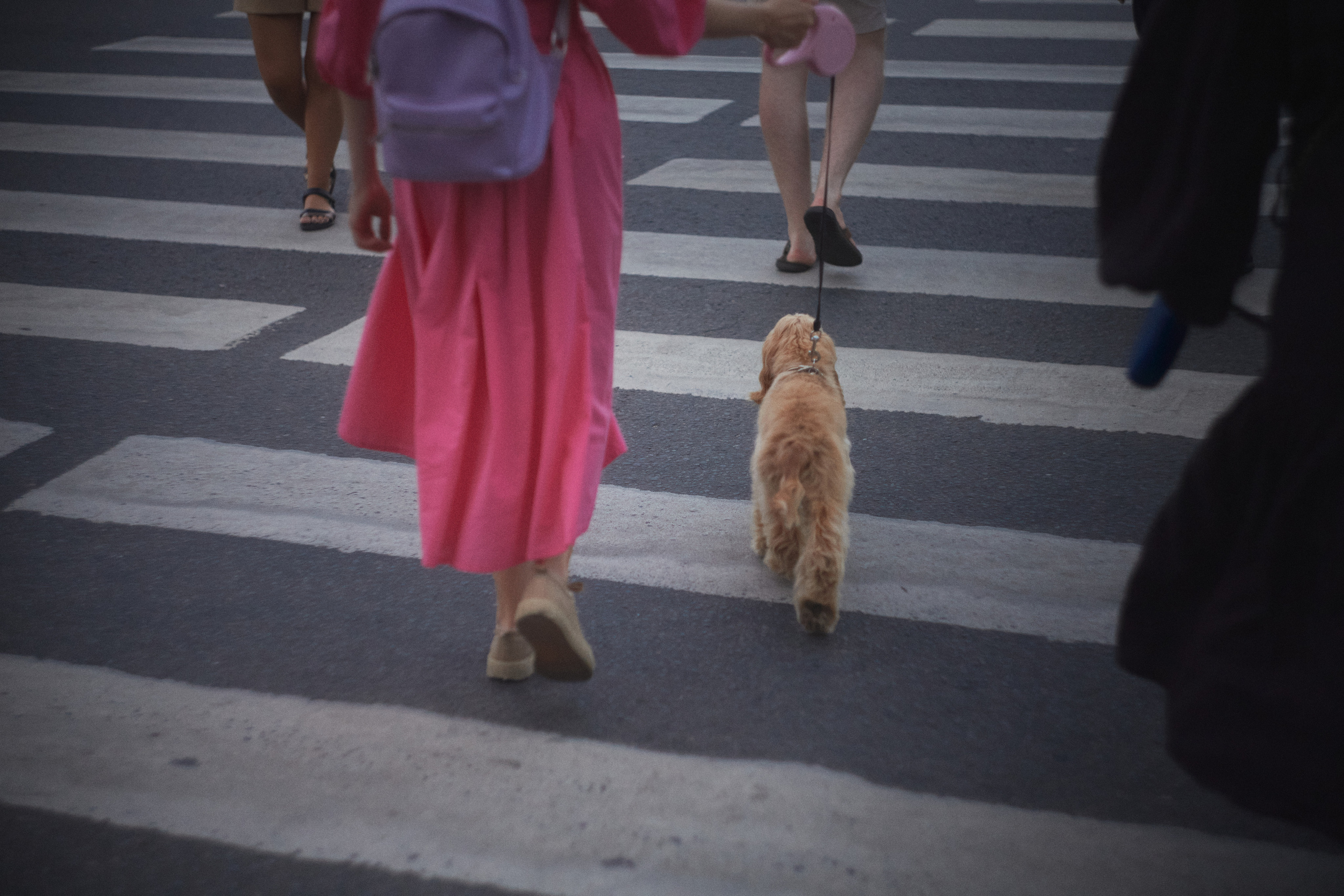 Прогулка с Афиной и Катей. Одежда из Санкт-Петербурга СИНИОКО