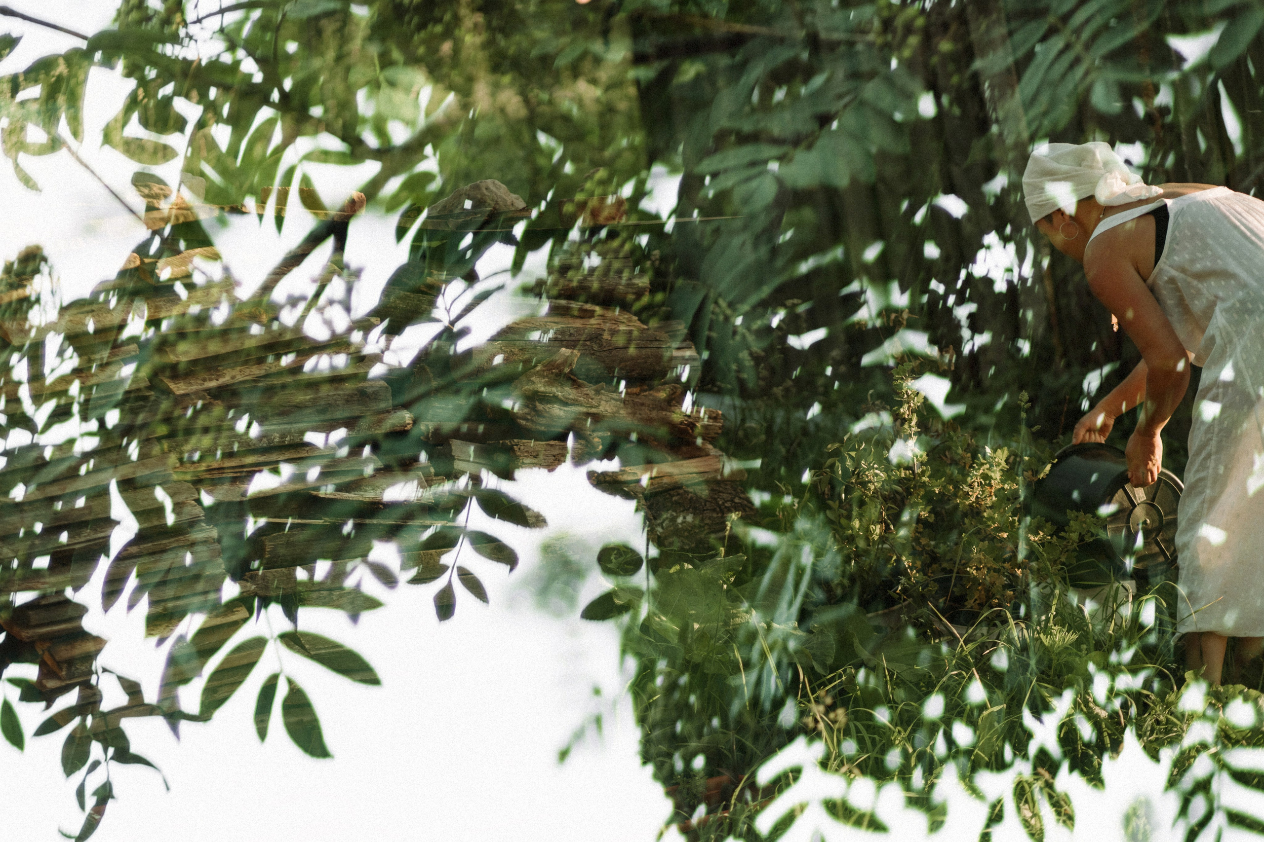 Один день в деревне