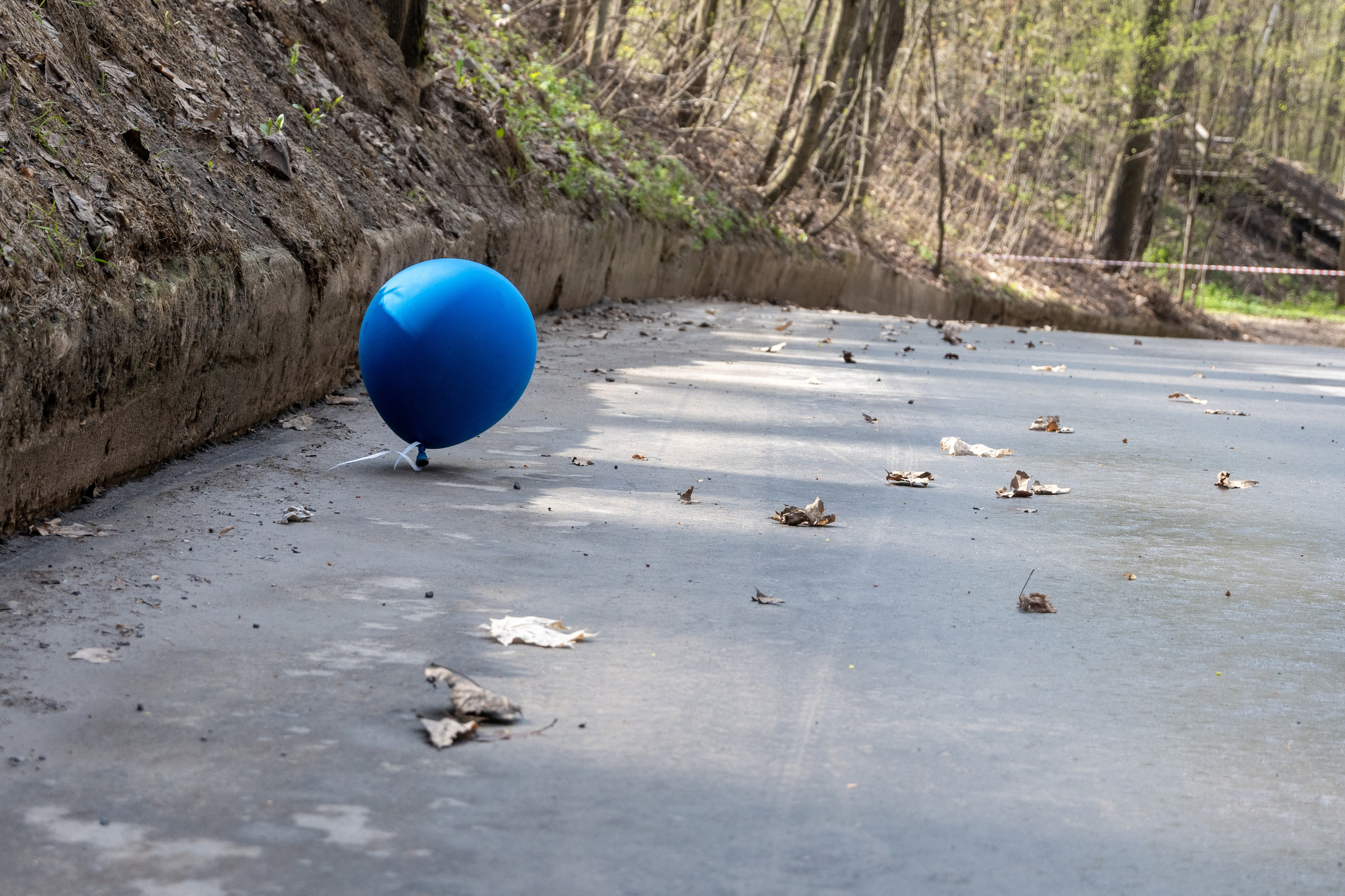 20240419 Хамовники. Дмитрий Ремизов. Фотография, как хобби