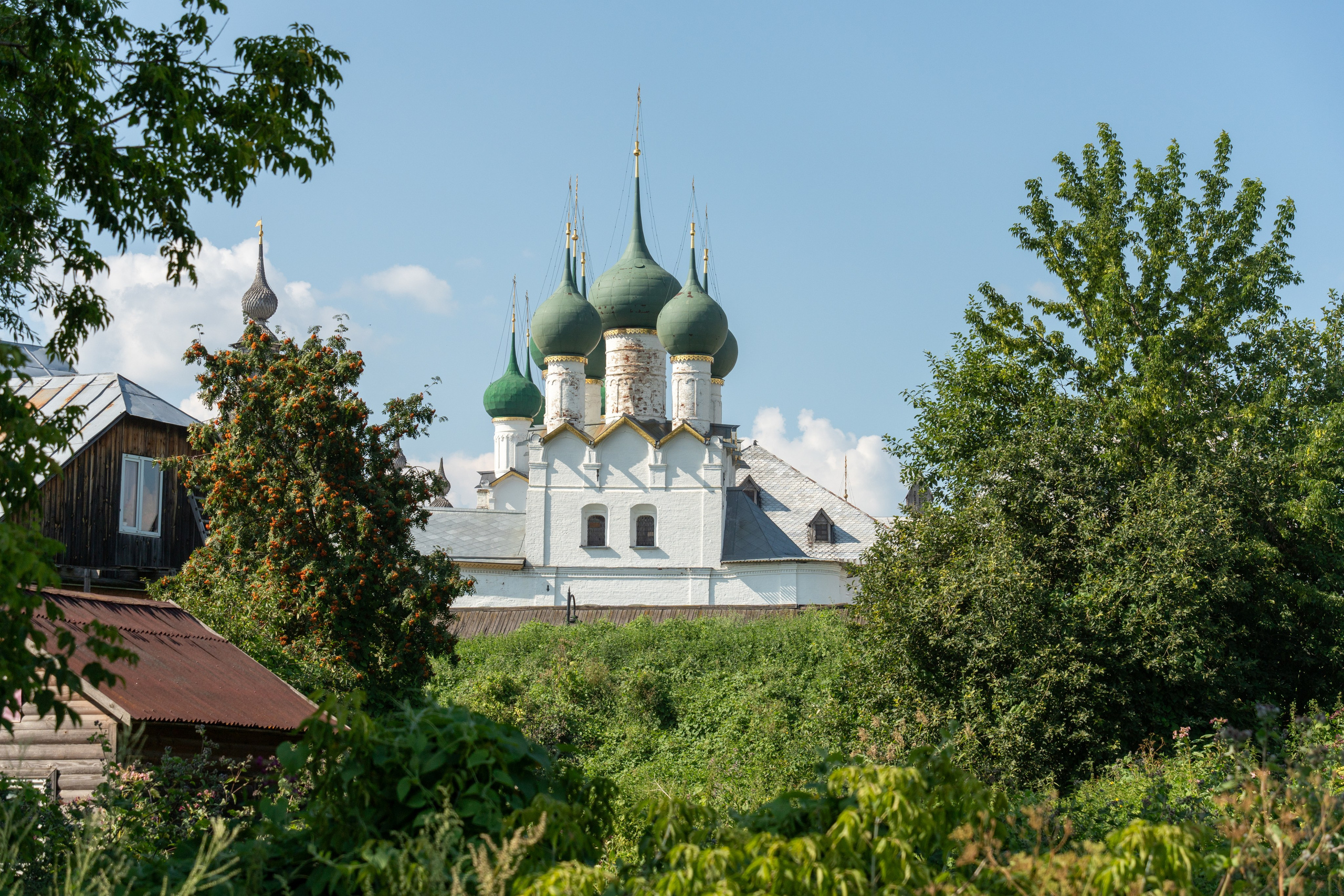 20250729-30 Ростов. Дмитрий Ремизов. Фотография, как хобби