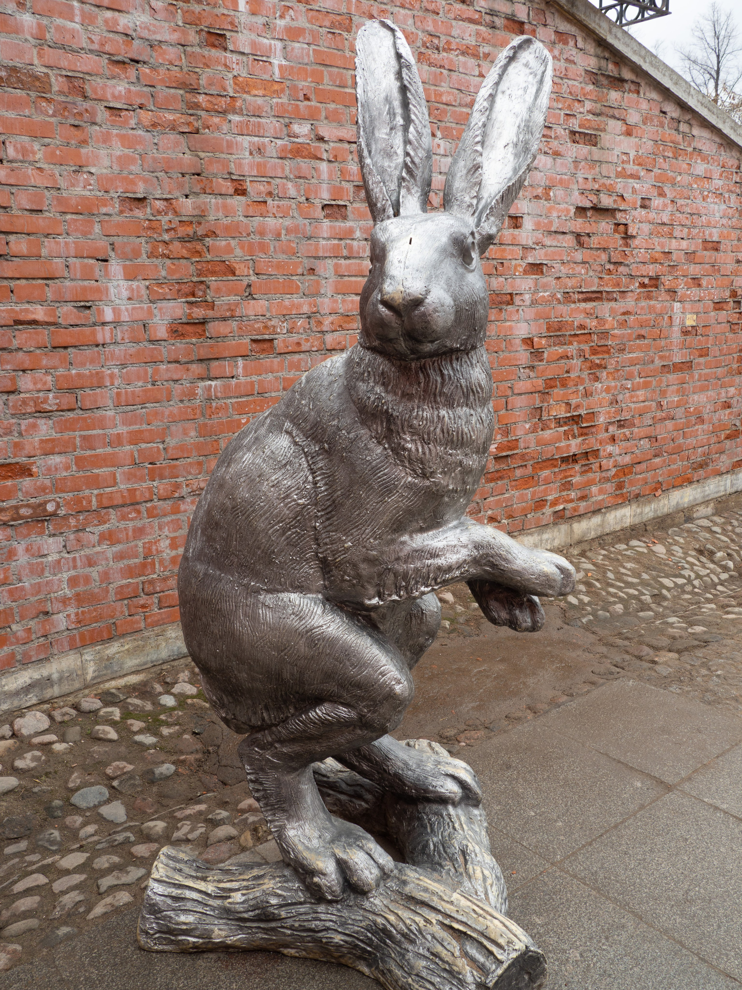 20220411-16 Санкт-Петербург. Дмитрий Ремизов. Фотография, как хобби