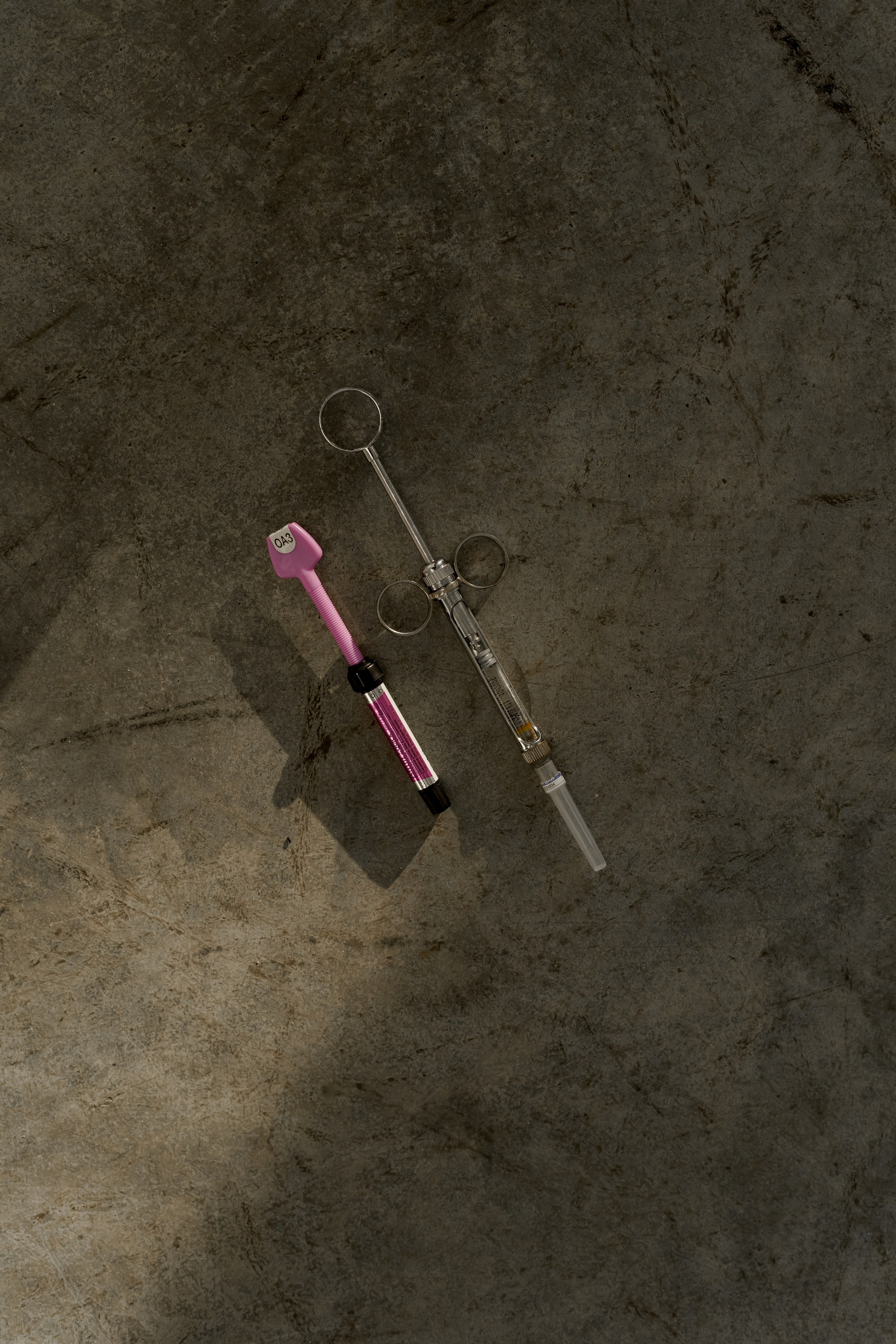 Даша. Фотограф Валерия Крахмалева