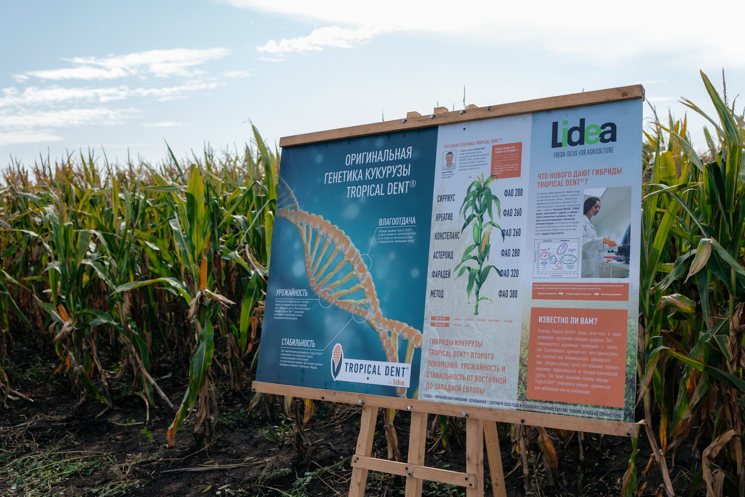 День поля. Фотограф Крохин Олег