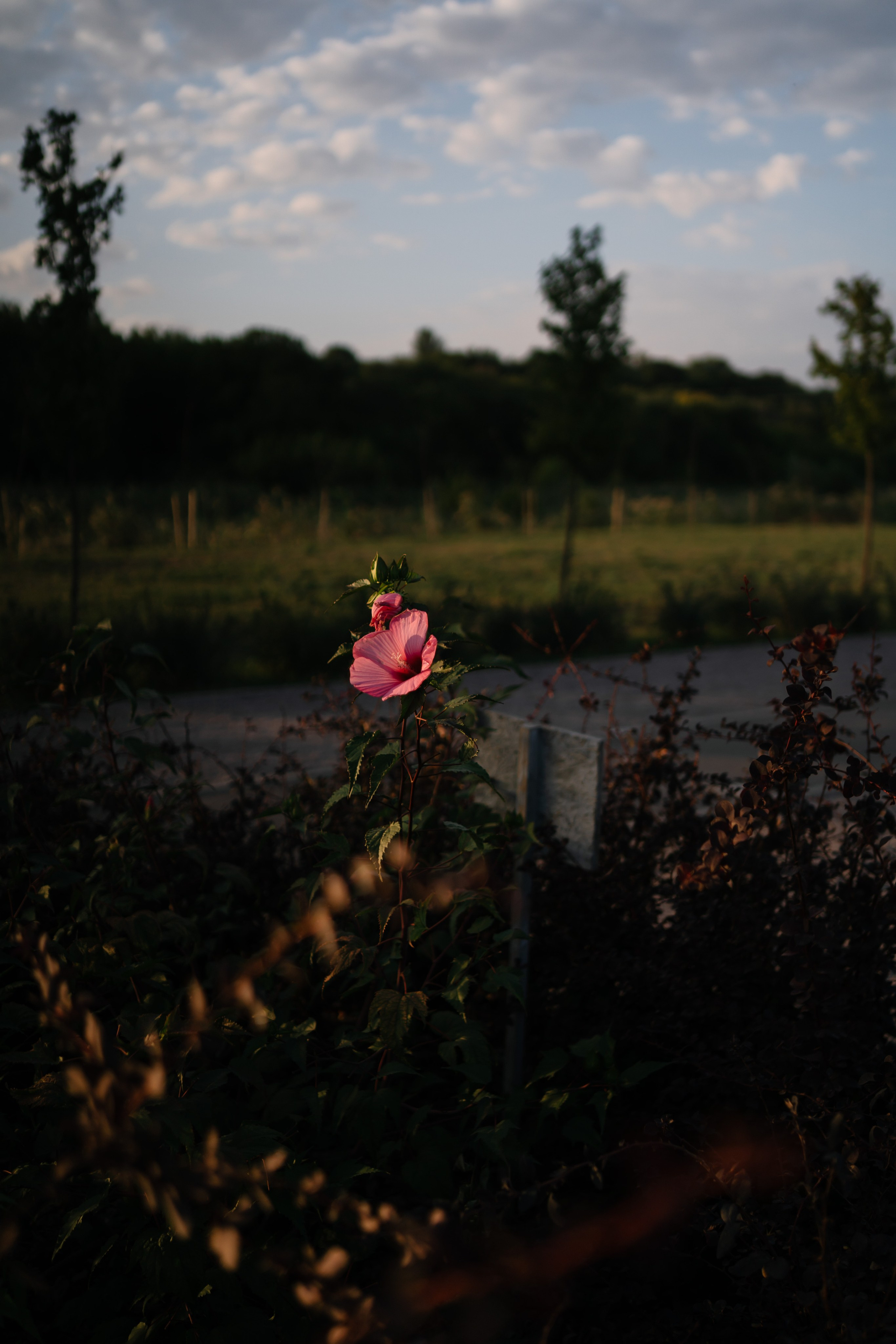 Локации для школьных съемок. Семейный фотограф и видеограф Ростов-на-Дону