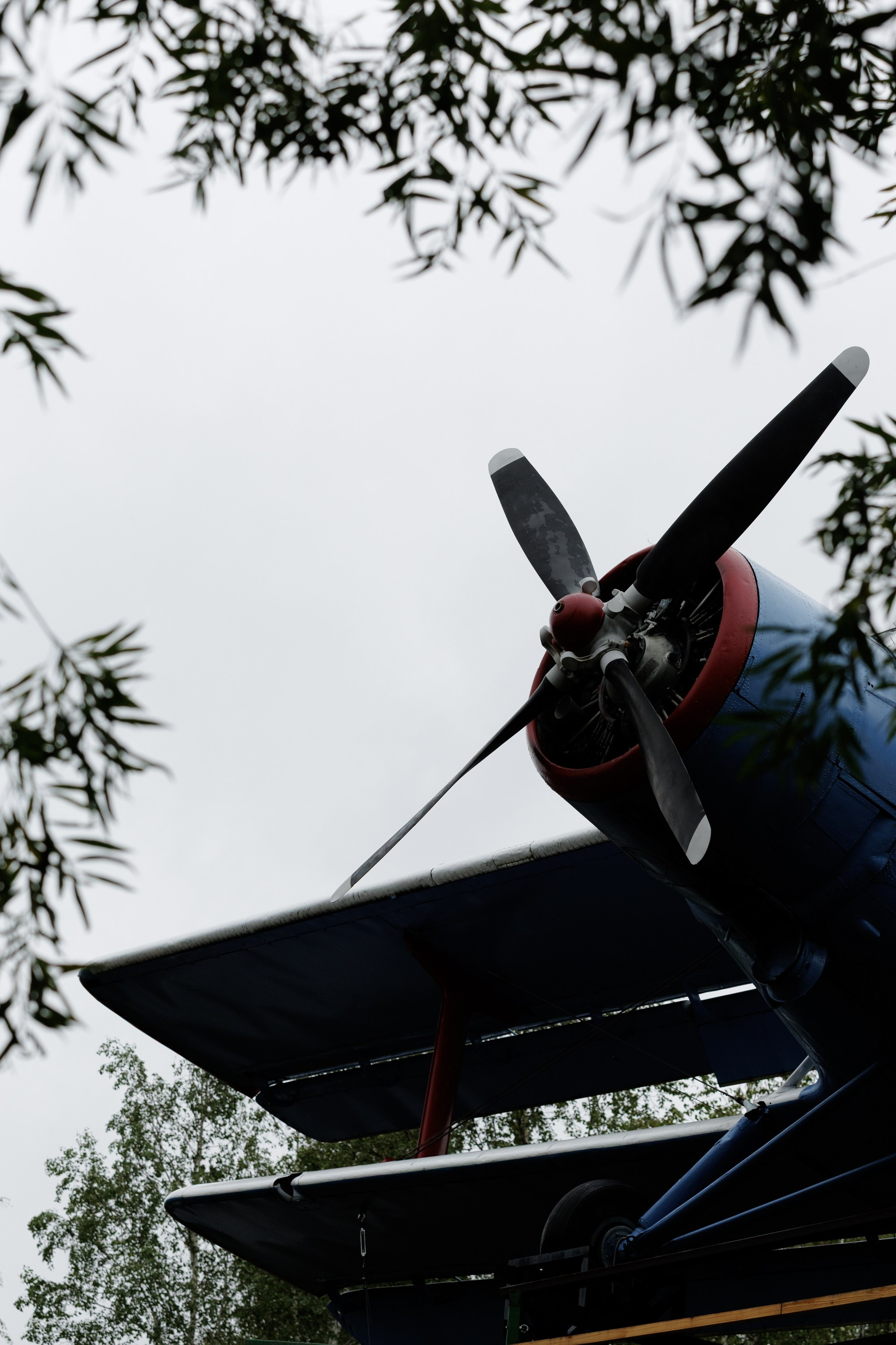 Максим и Елена. Свадебный фотограф