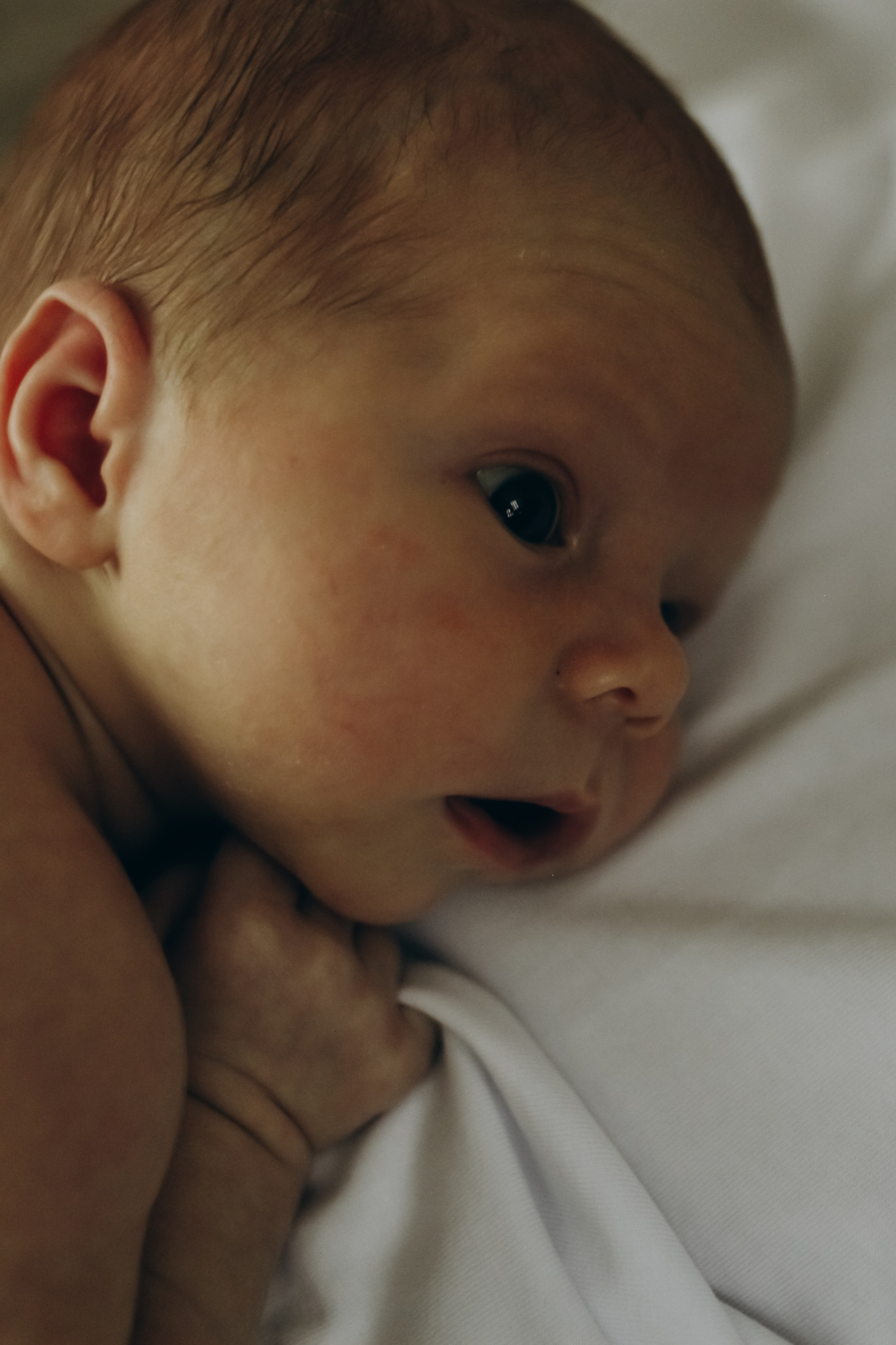 Домашняя 23.08.2025. Свой фотограф Нижний Новгород