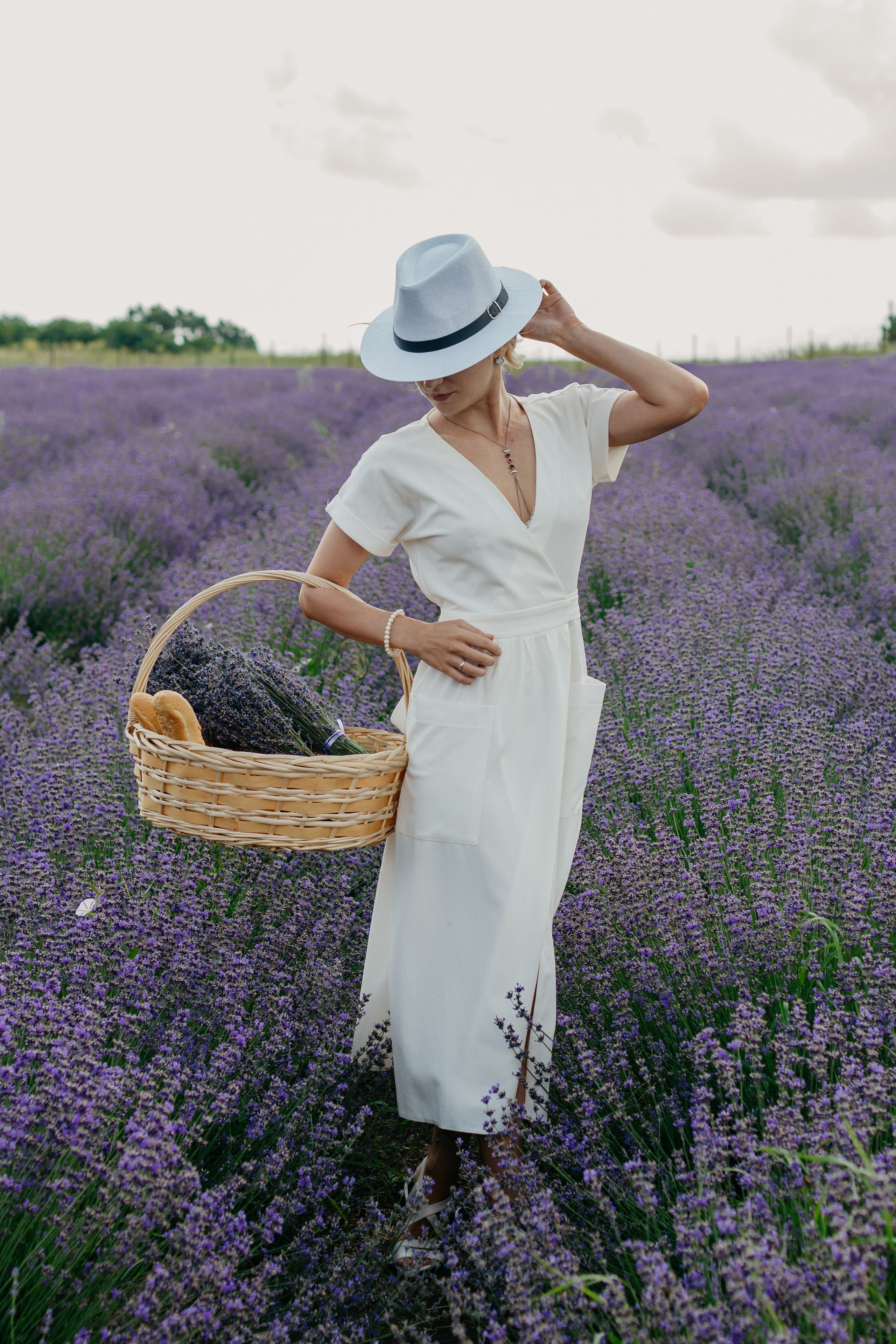 Лаванда. Главная