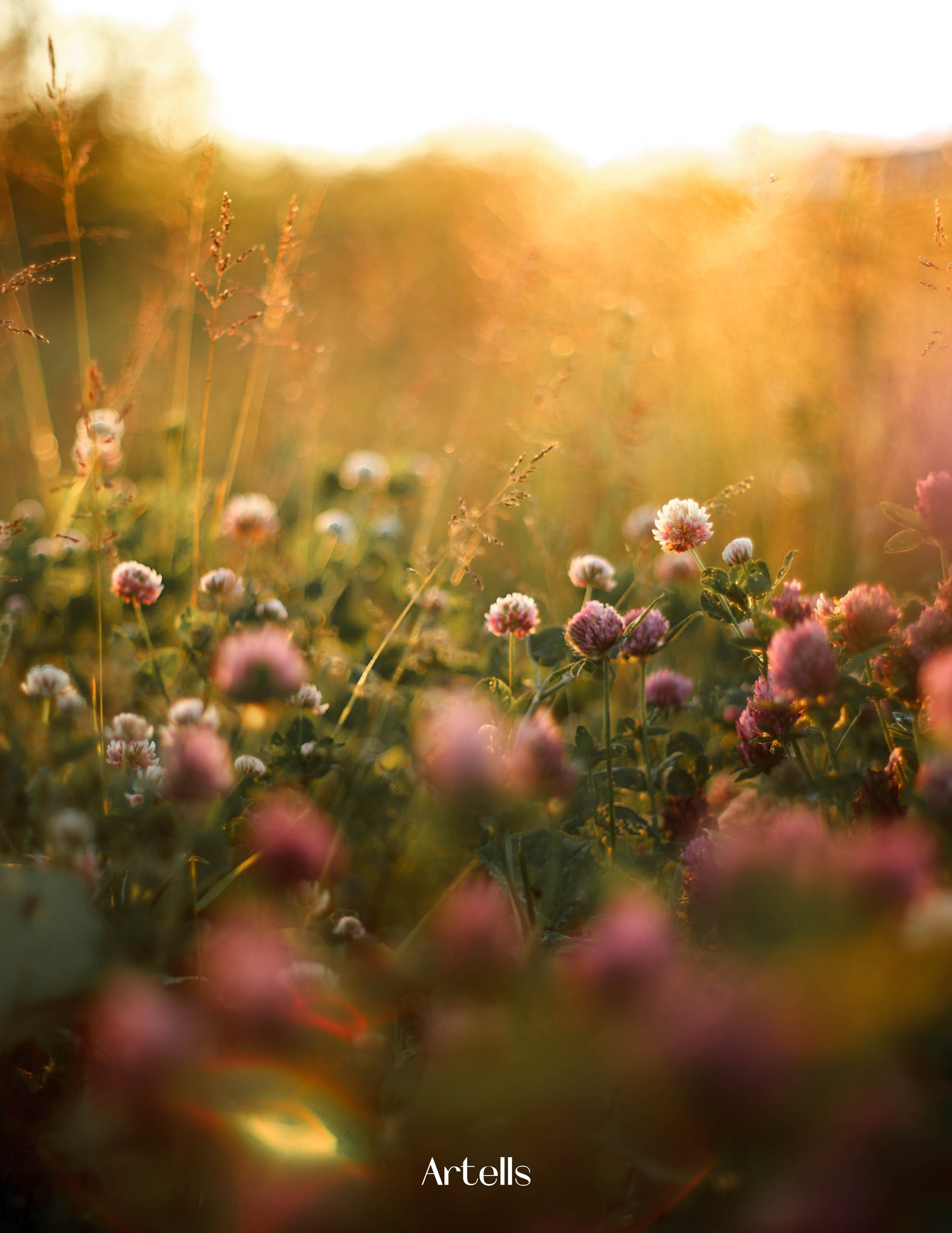 Публикации. Анастасия Воропаева — фотограф на роды СПб