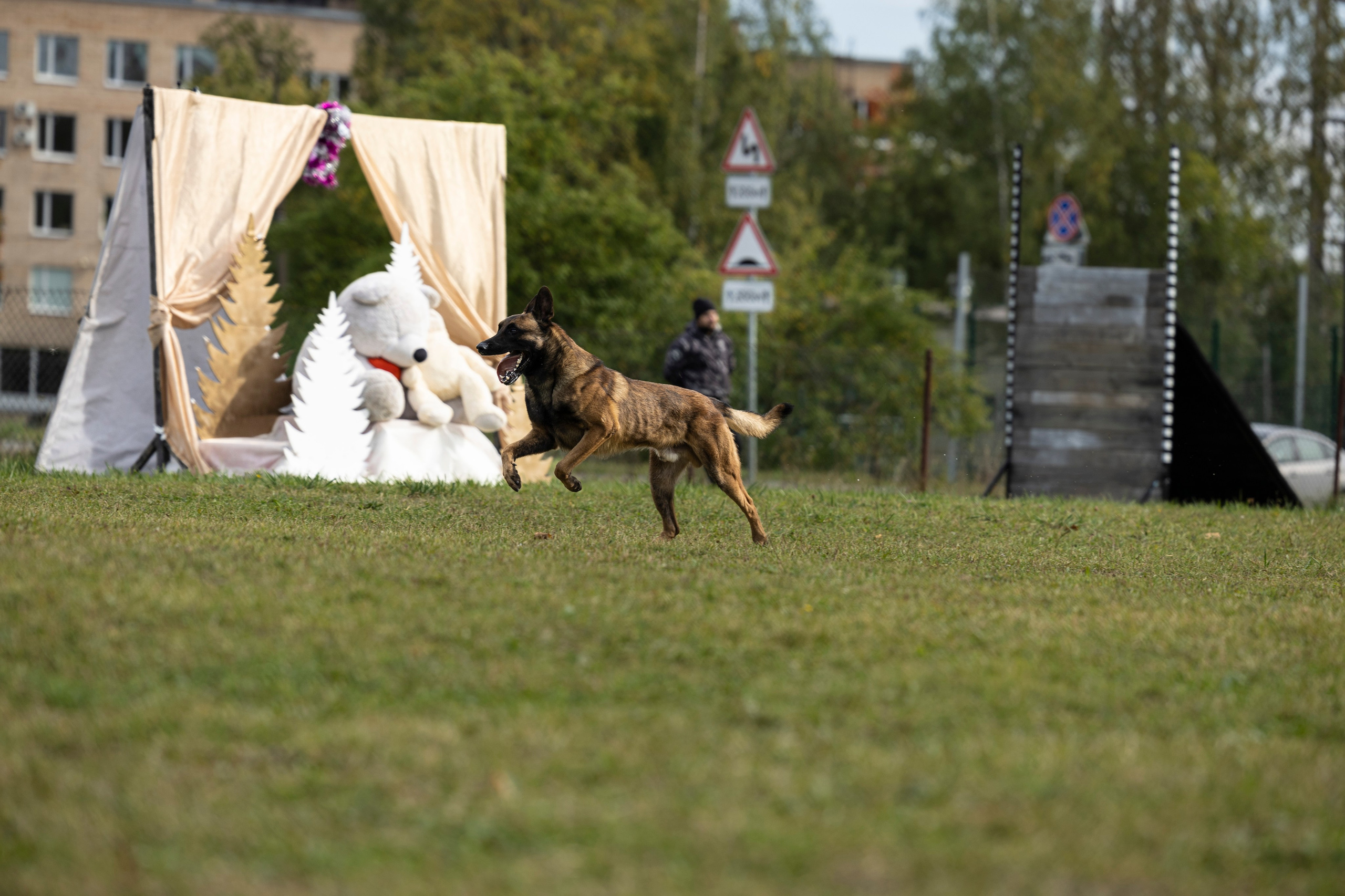Испытания по Мондьорингу г. Пушкин. Фотограф-анималист Анна Маринич